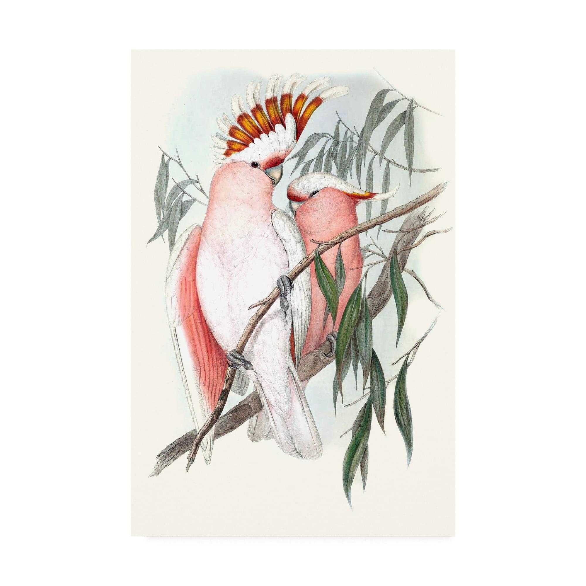 Trademark Fine Art 'Pastel Parrots I' Canvas Art by John Gould