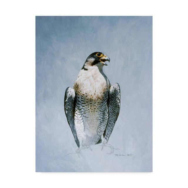 Trademark Fine Art Ron Parker " Peregrine Falcon " by Ron Parker