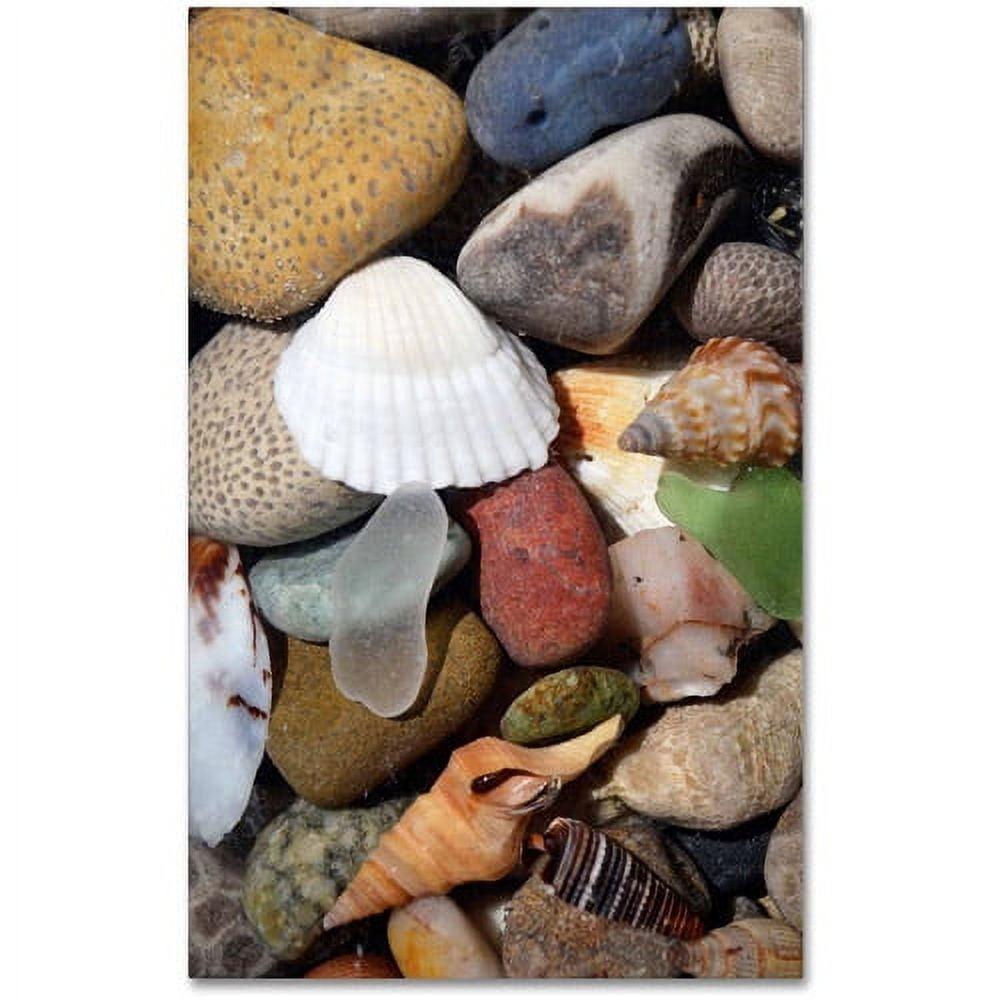 Trademark Fine Art "PetoskeyStones lV" by Michelle Calkins Photographic Print on Wrapped Canvas