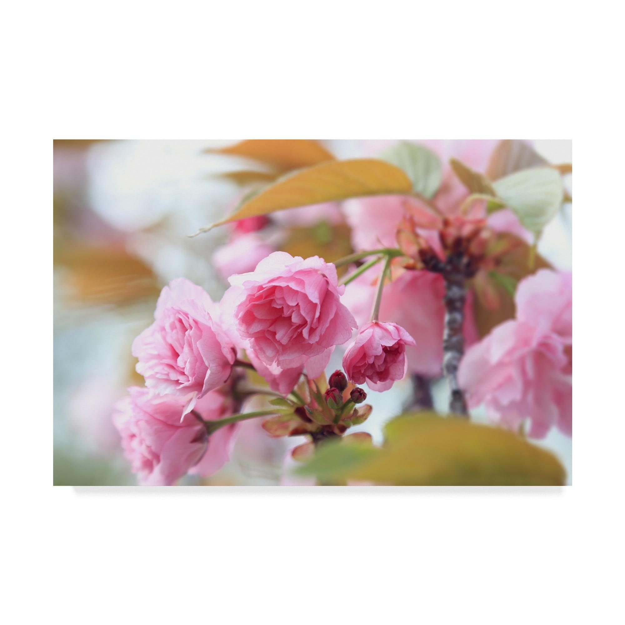 Pink Orchid Tree Floral Canvas Wall Art