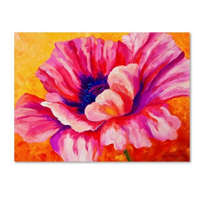 Trademark Fine Art Marion Rose " Pink Poppy " by Marion Rose Painting Print
