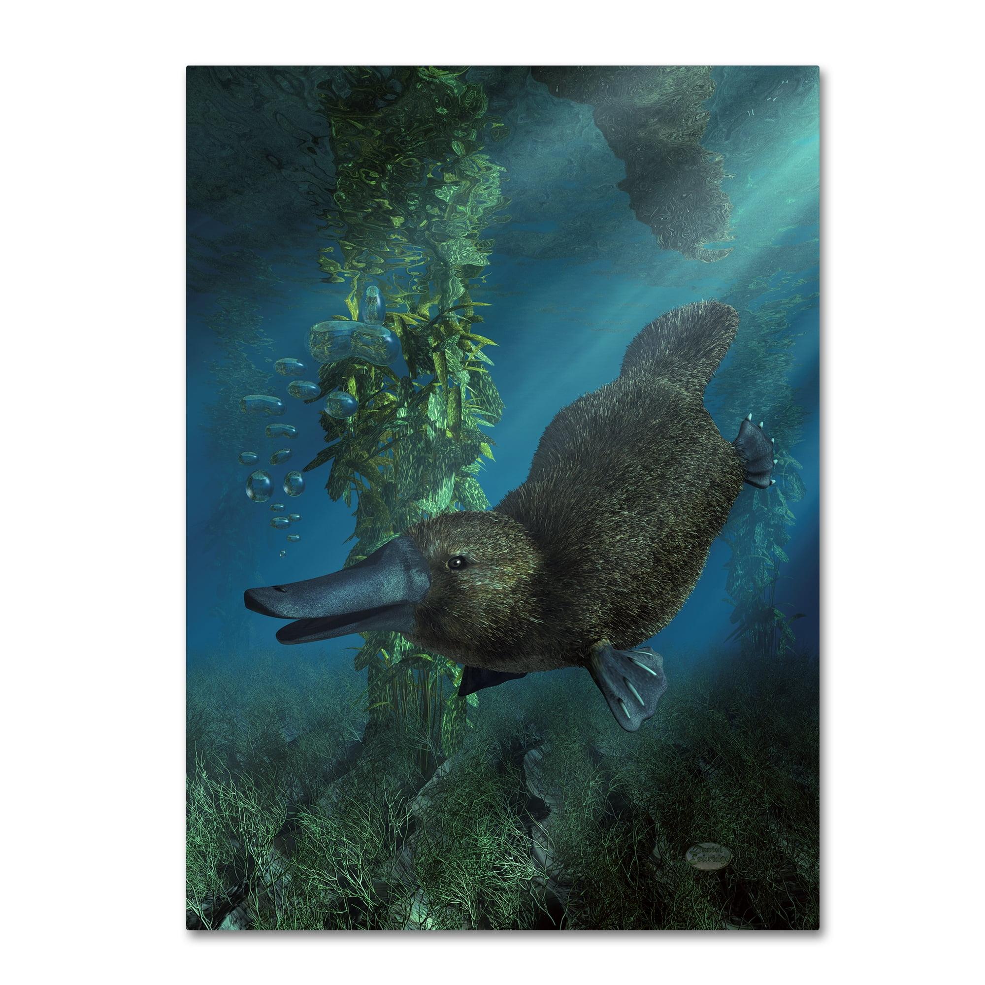 Trademark Fine Art Daniel Eskridge " Platypus " by Daniel Eskridge