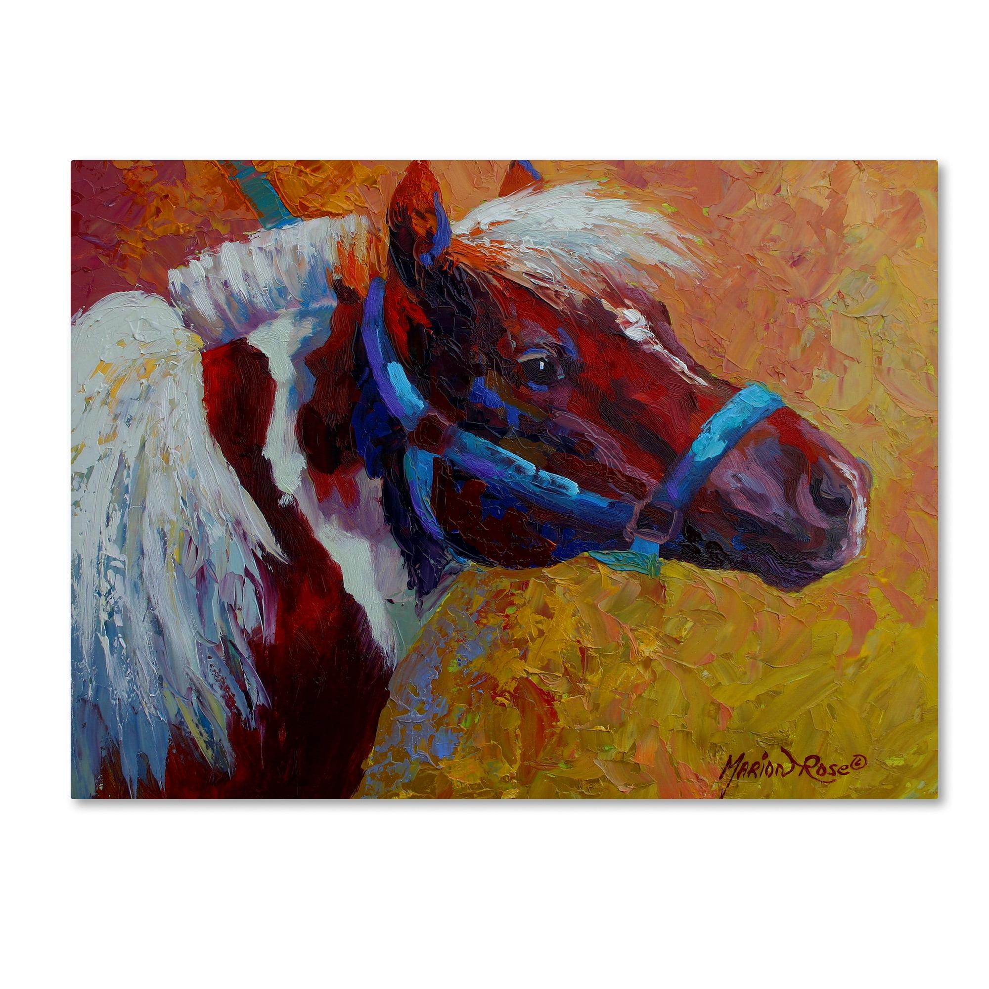 Marion Rose Pony Boy 1 Modern Canvas Art 14 x 19