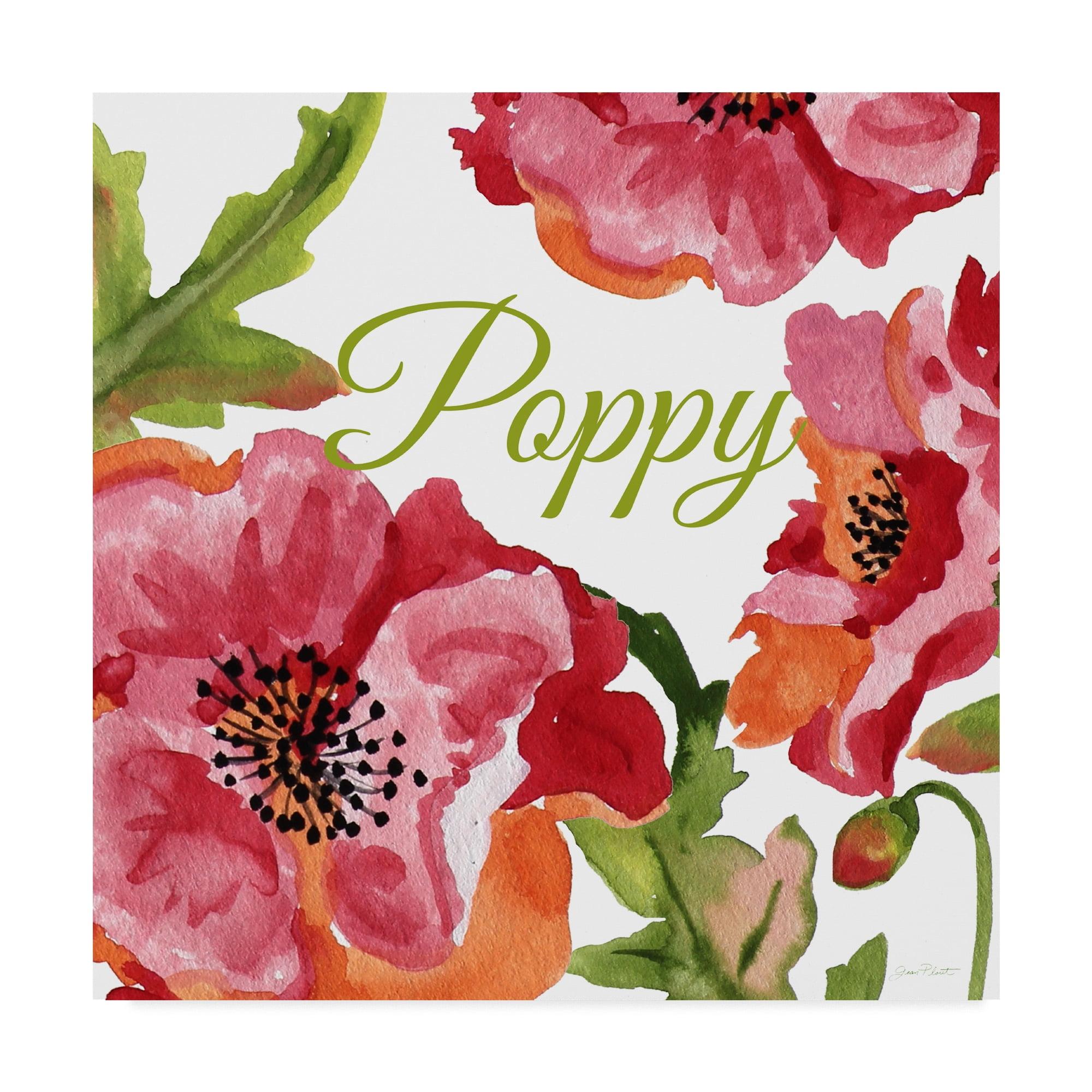 Trademark Fine Art Jean Plout " Poppy Red White " by Jean Plout