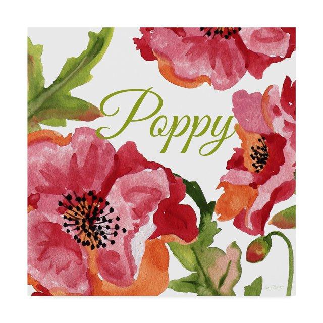 Trademark Fine Art Jean Plout " Poppy Red White " by Jean Plout