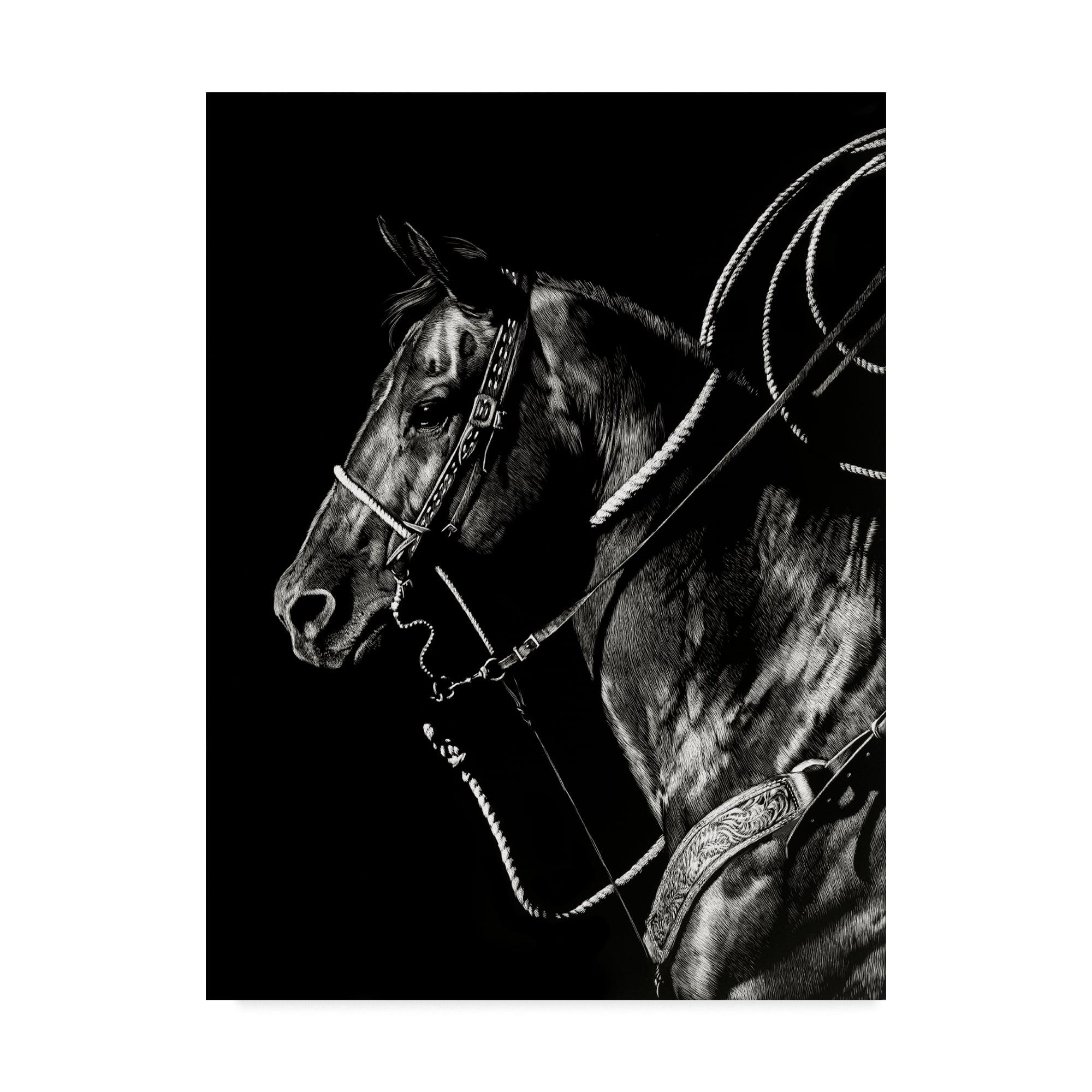 Scratchboard Rodeo Horse Portrait Canvas Art, 14x19