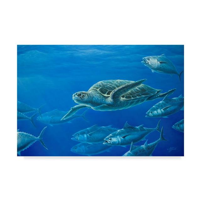 Trademark Fine Art Wilhelm Goebel Sea Turtle - Wrapped Canvas Graphic Art Print | Wayfair