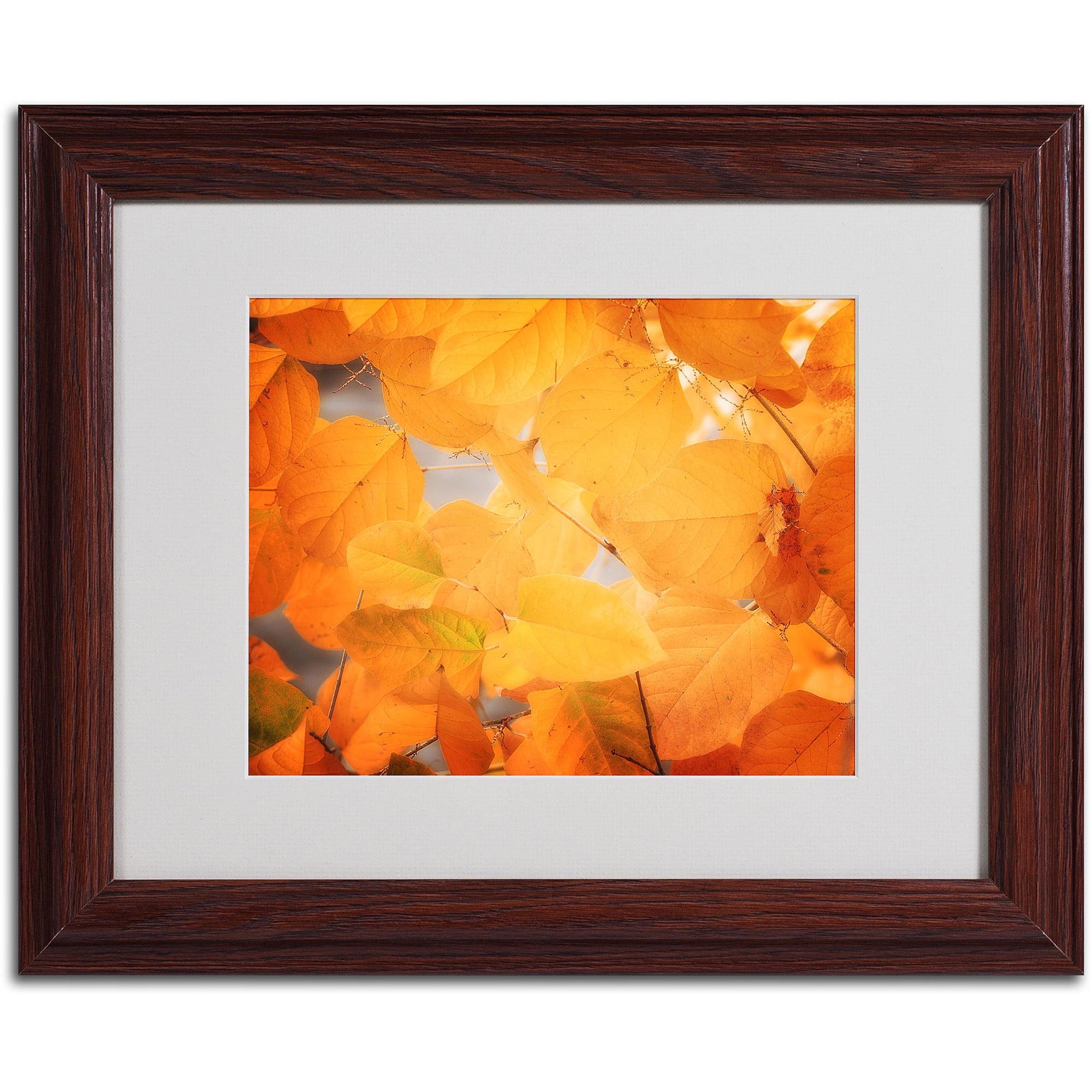Trademark Fine Art " Seasonal Leaves " by Philippe Sainte-Laudy