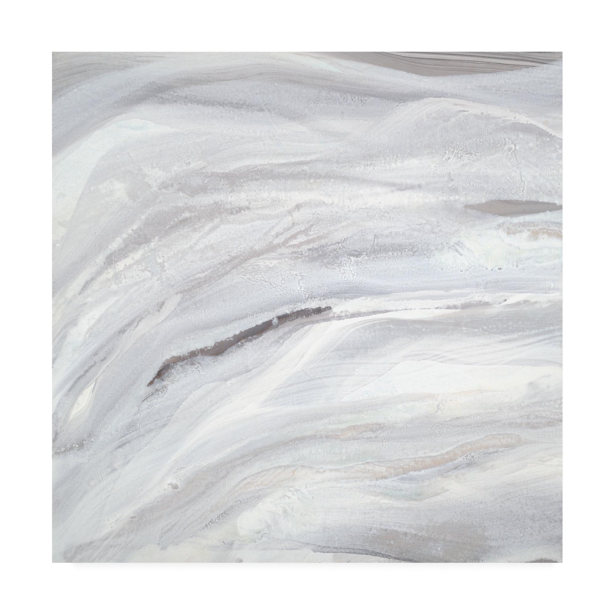 Trademark Fine Art 'Silver Fragments I' Canvas Art by Teodora Guererra