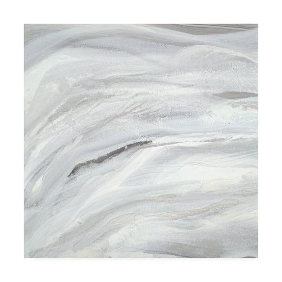 Trademark Fine Art 'Silver Fragments I' Canvas Art by Teodora Guererra