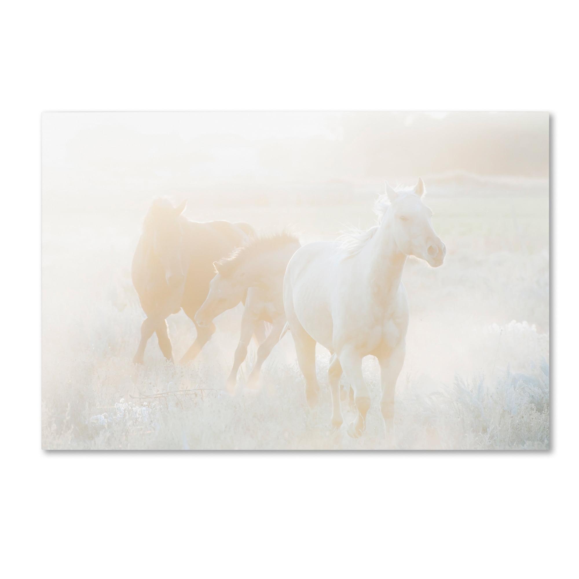 Hazy Sunlight Horses Running Canvas Art, 16x24