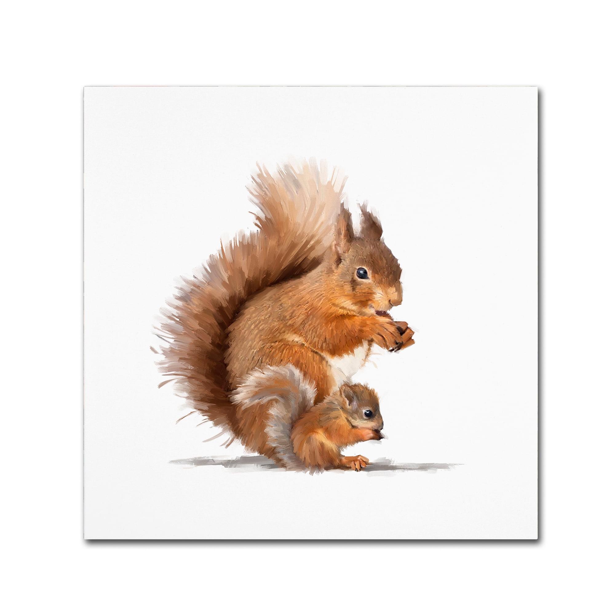 14'' Square White and Brown Squirrel Canvas Art