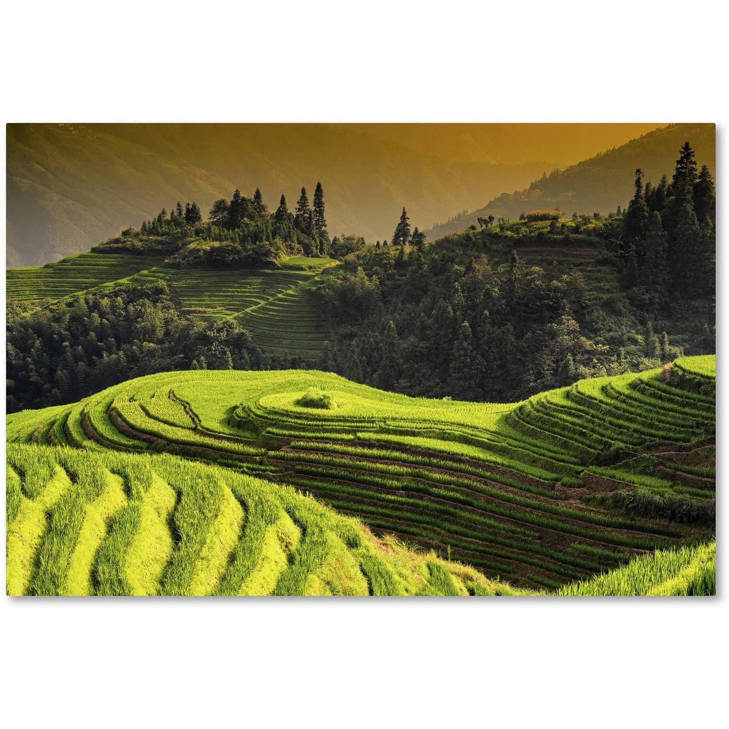 Sunset Rice Terraces Scenic Landscape Framed Canvas Art