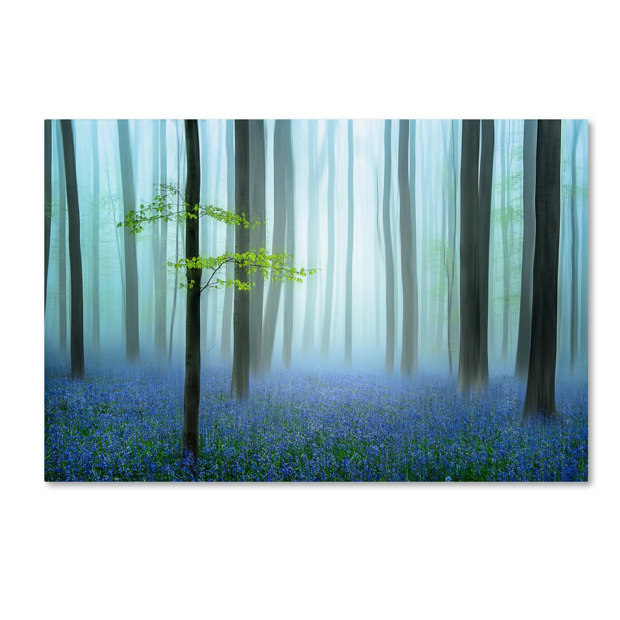 " The Blue Forest " by Piet Haaksma