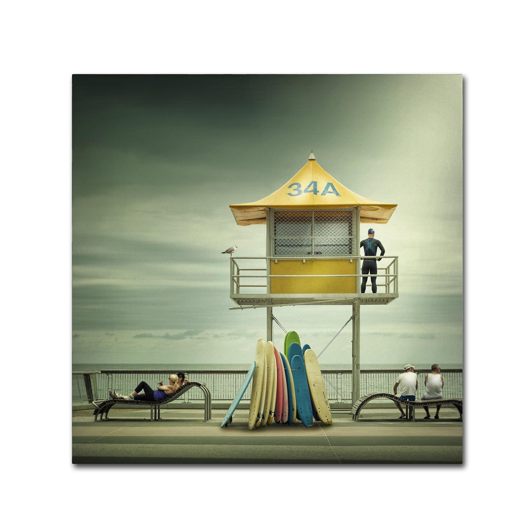 " The Life Guard " by Adrian Donoghue