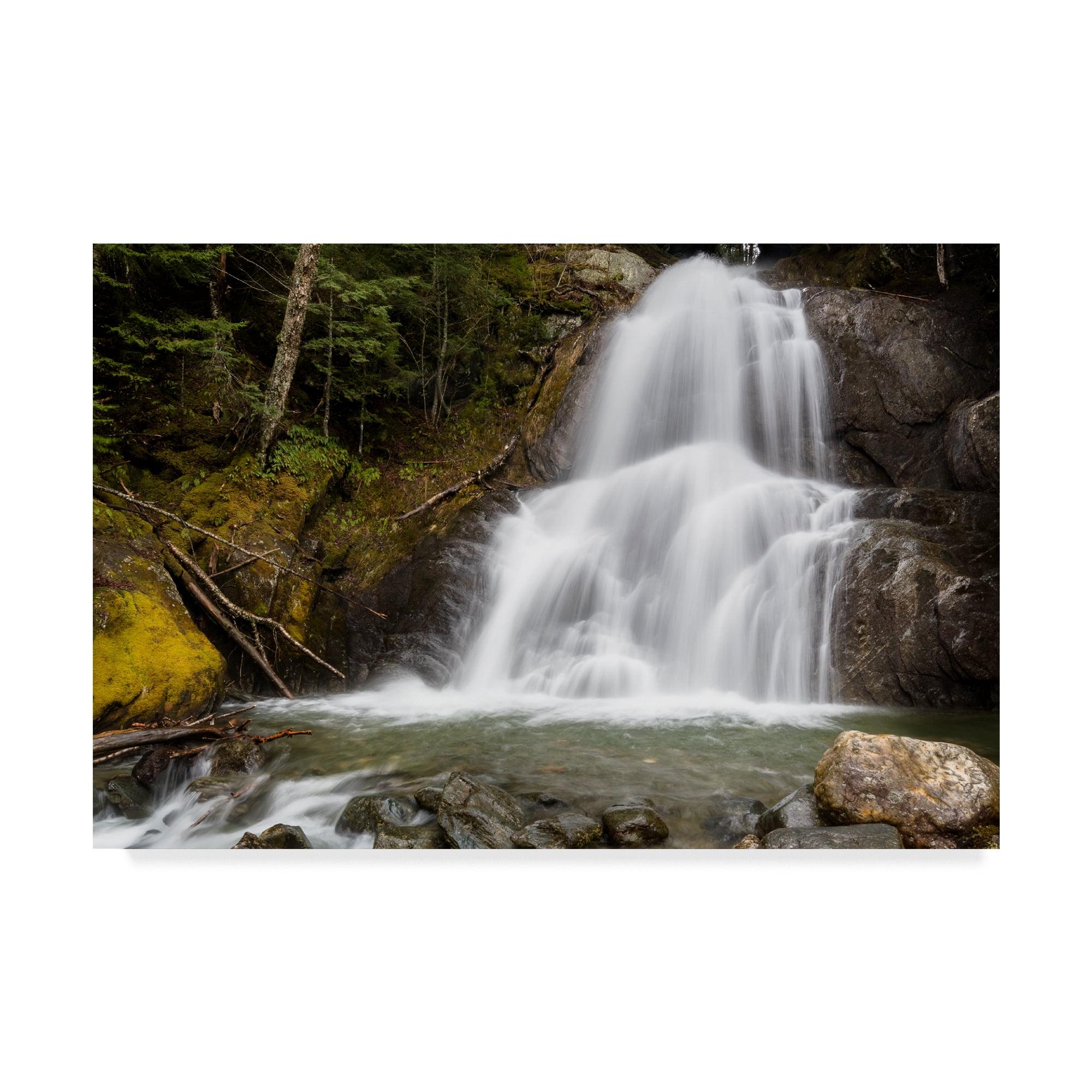 Trademark Fine Art 'The Sound Of Falling Water' Canvas Art by Brenda Petrella Photography Llc