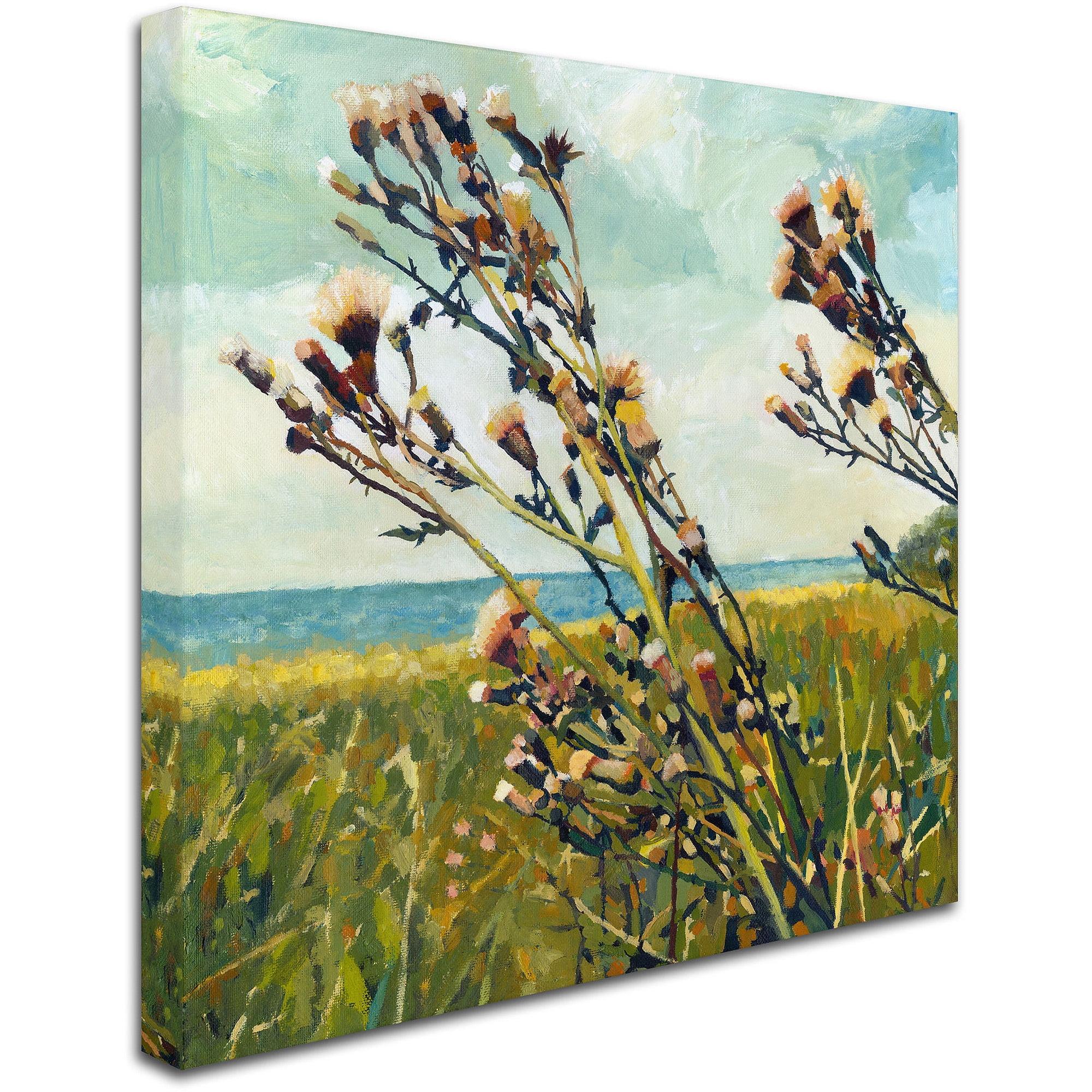 Trademark Fine Art "Thistles on the Beach" Canvas Art by Michelle Calkins