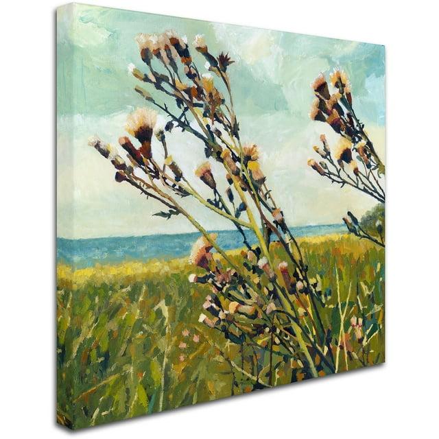 Trademark Fine Art "Thistles on the Beach" Canvas Art by Michelle Calkins