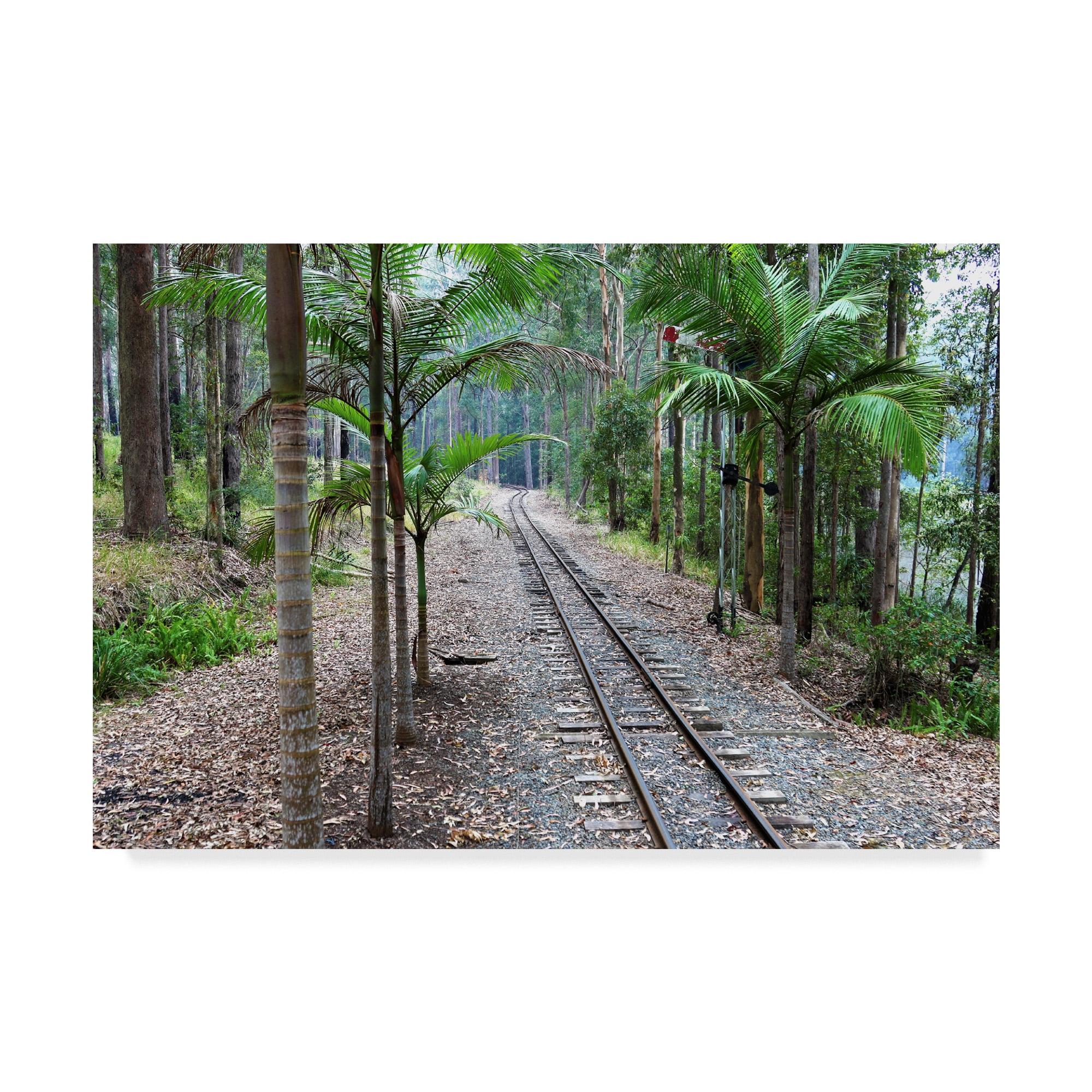 Tranquil Forest Train Tracks Canvas Art, 16 x 24