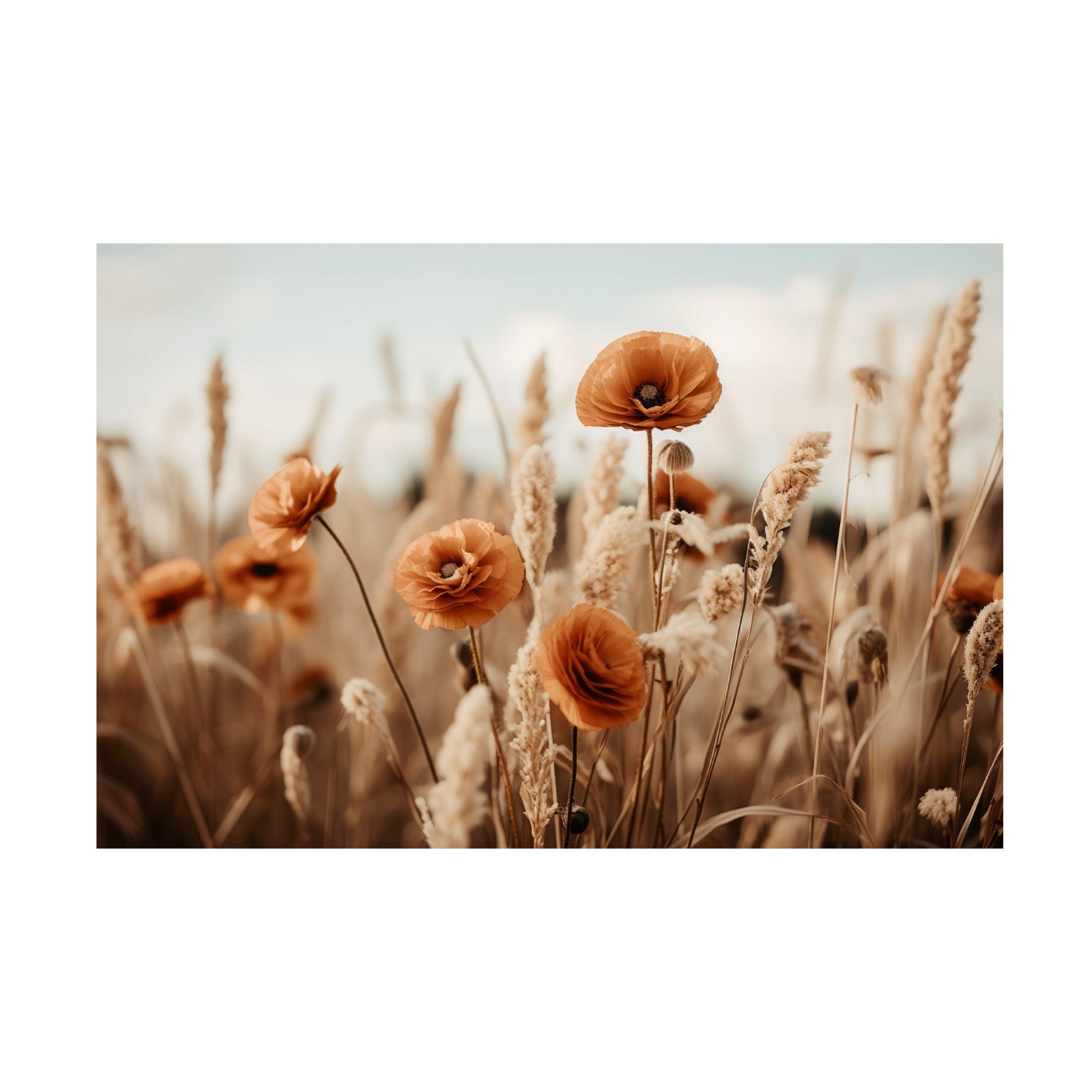 Modern & Contemporary " Orange Poppy Field "