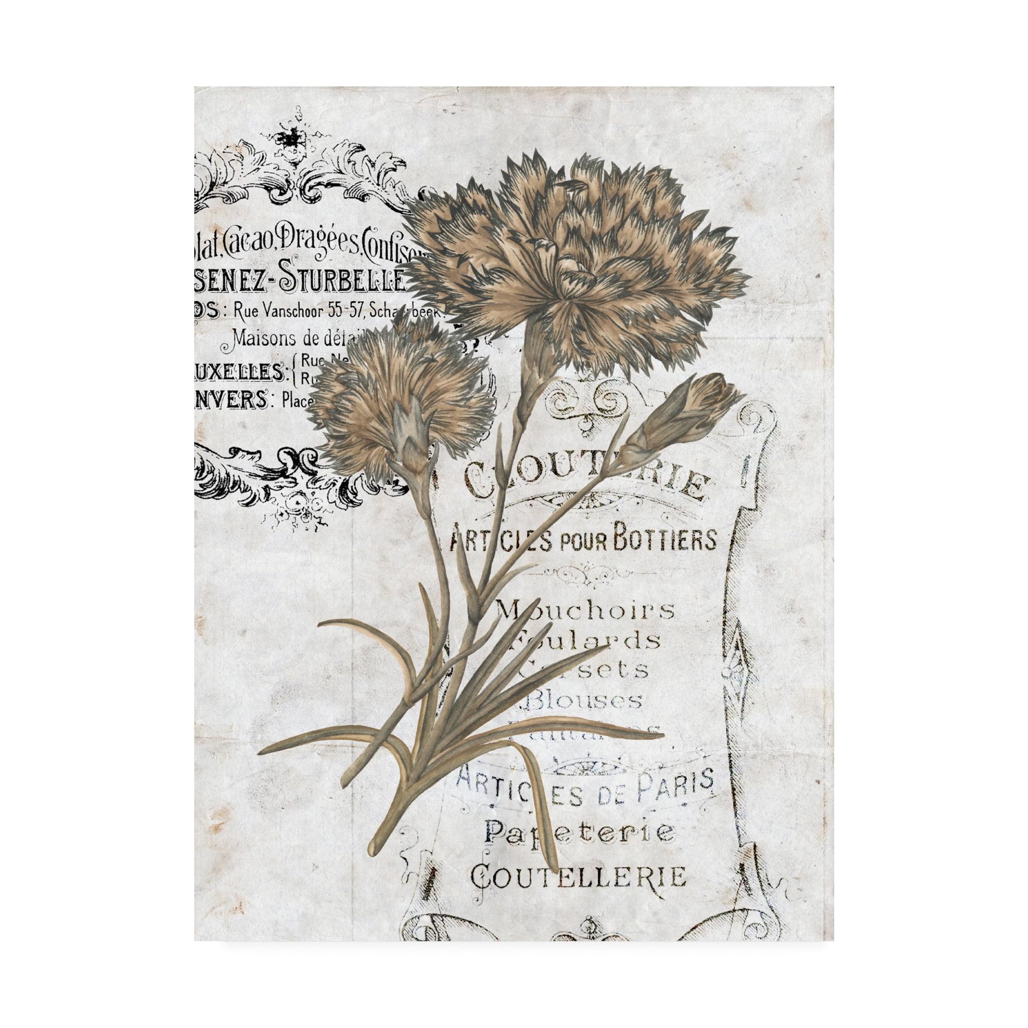 Trademark Fine Art 'UA CH Petite Beaute III' Canvas Art by Melissa Wang