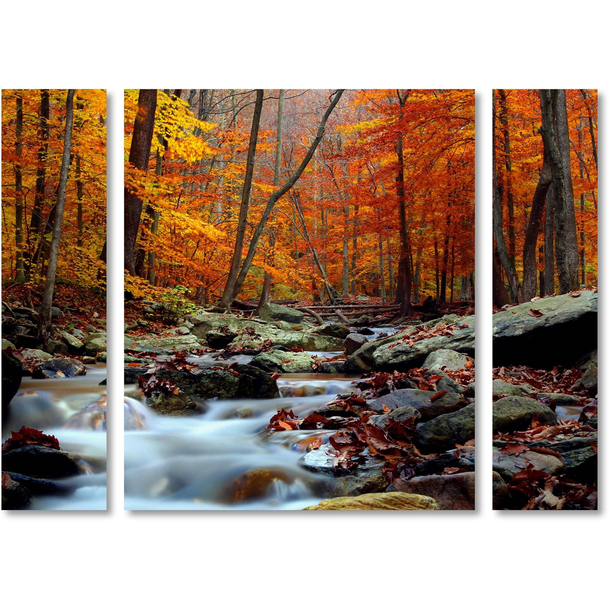 Trademark Fine Art Cateyes " Ultimate Truth " by Cateyes 3 - Pieces