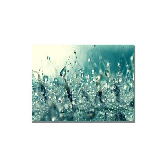 Trademark Fine Art "Bajo el Mar" Lienzo Art de Beata Czyzowska