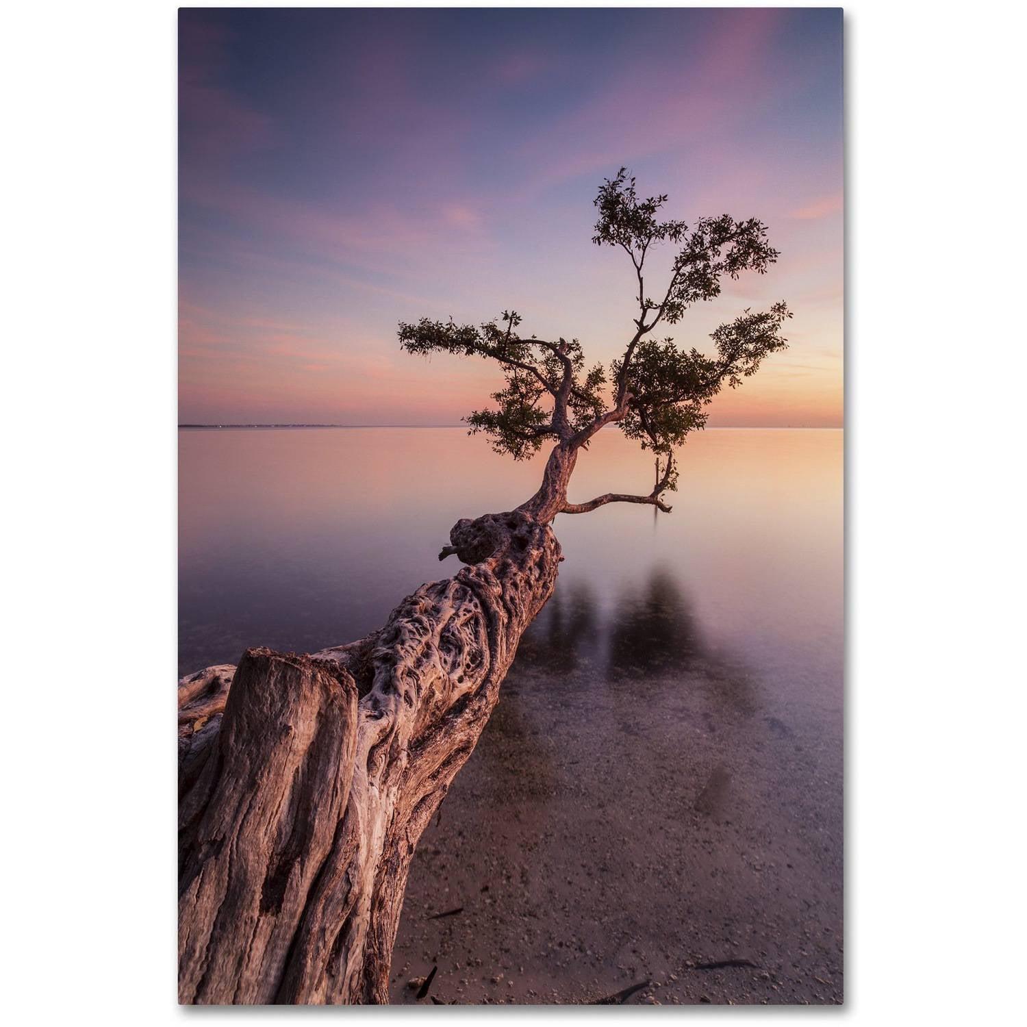 Trademark Fine Art "Water Tree IV" by Moises Levy Photographic Print on Wrapped Canvas