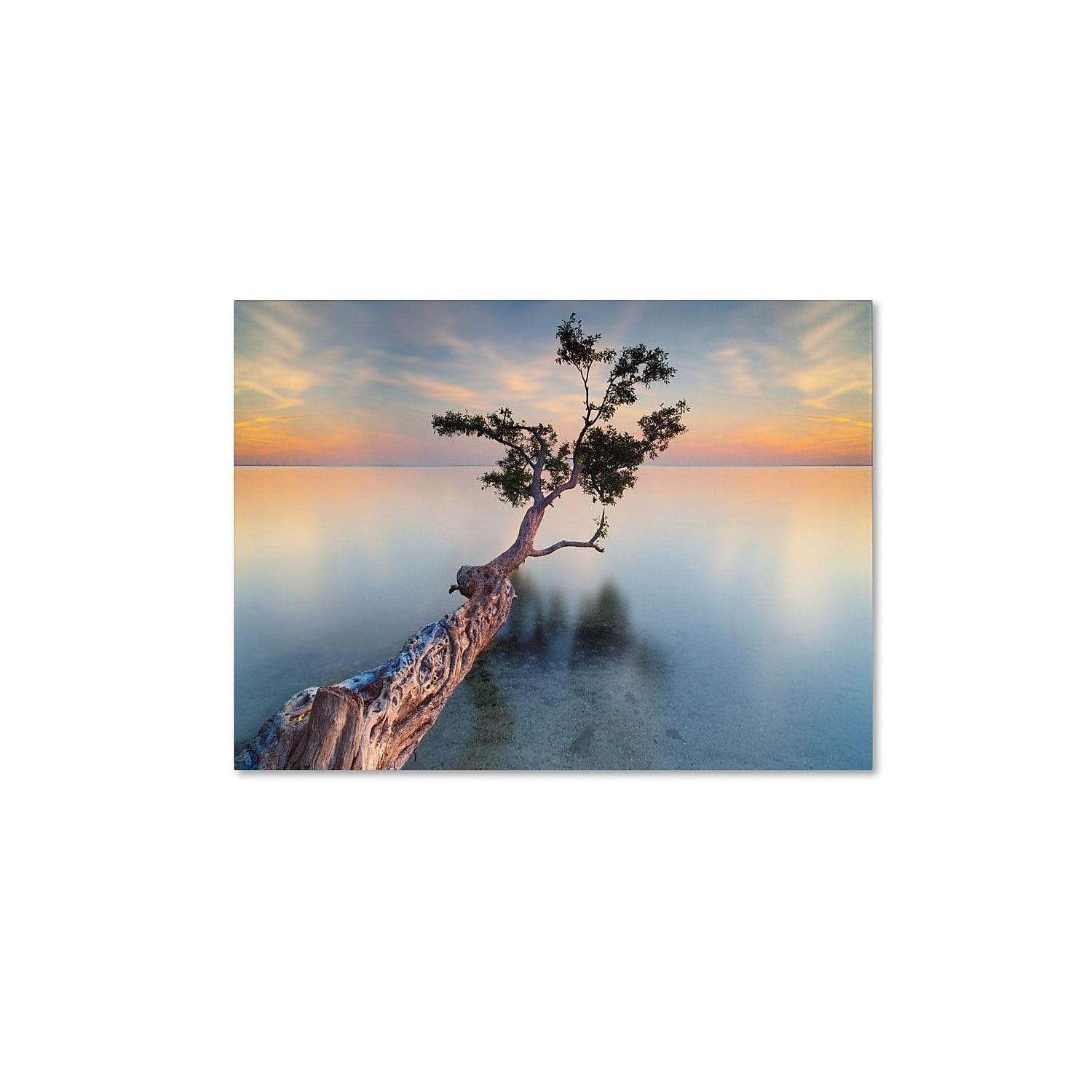 Moises Levy Water Tree XIV Framed Landscape Canvas Art