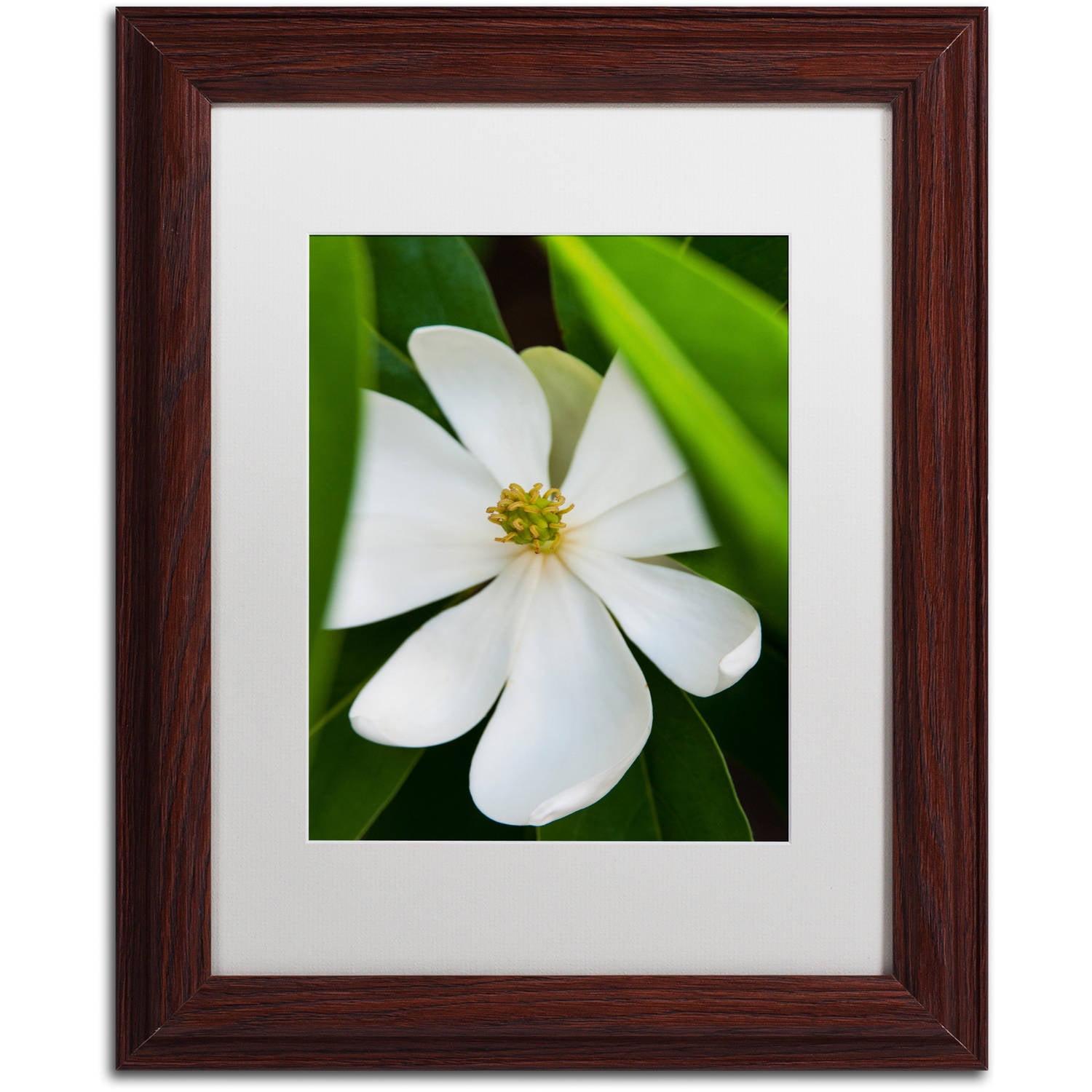 Trademark Fine Art -Kurt Shaffer 'White Magnolia Flower' Matted Framed Art