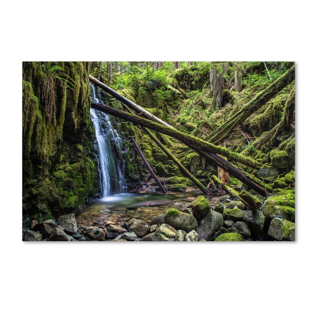 Trademark Fine Art "Wilderness" Canvas Art by Pierre Leclerc