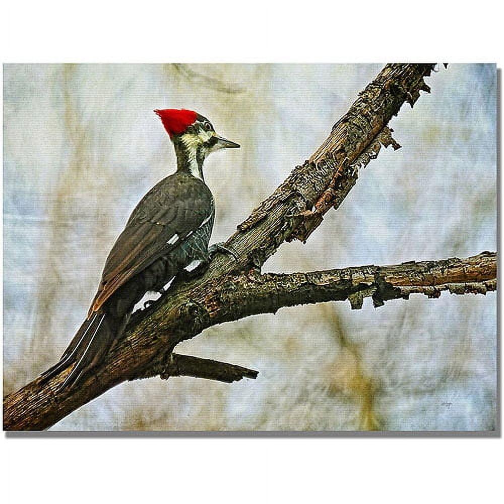 " Woodpecker II " by Lois Bryan