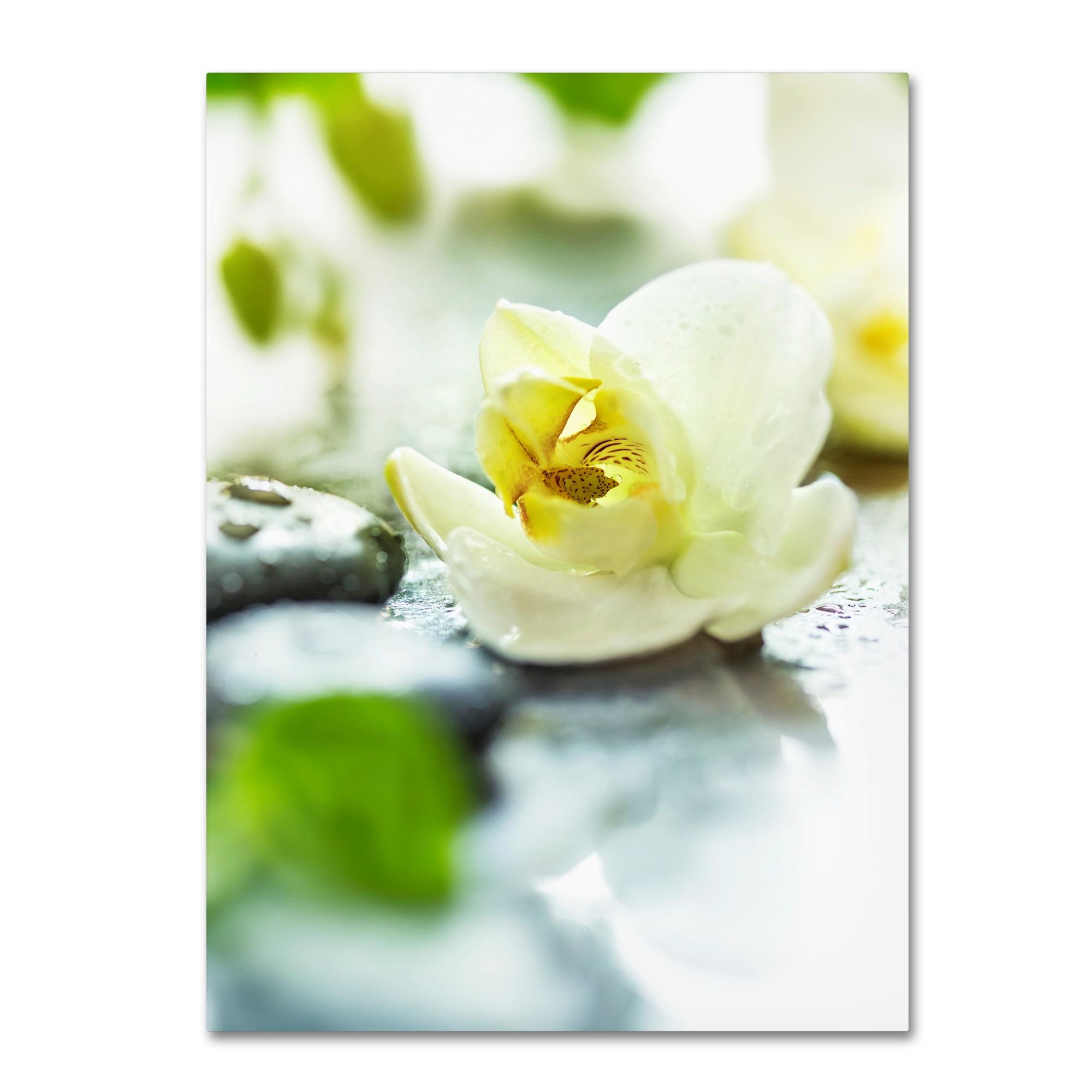 Zen Orchid Yellow and White Floral Canvas Art