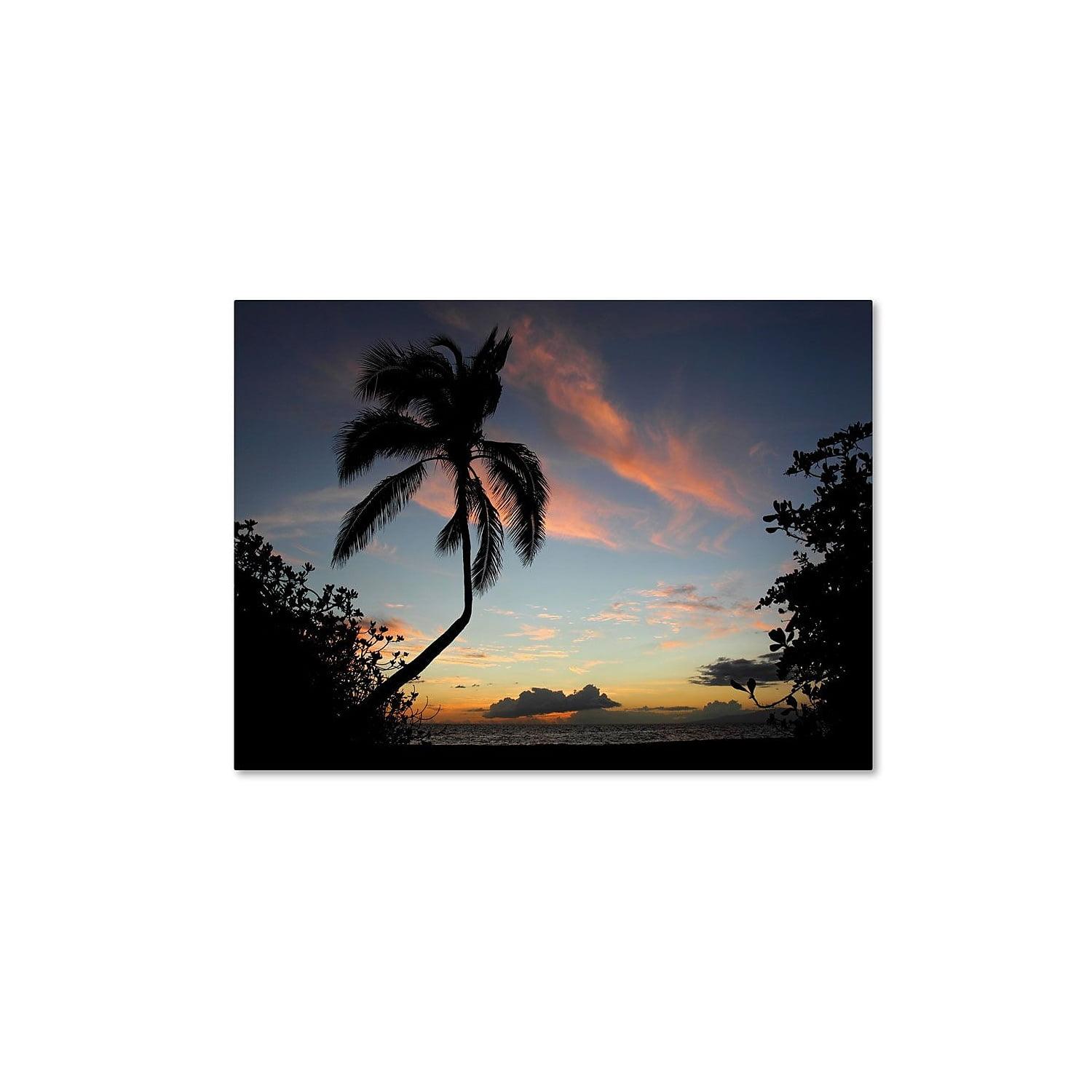 Trademark Fine Art " Tropical Sunset " by Pierre Leclerc