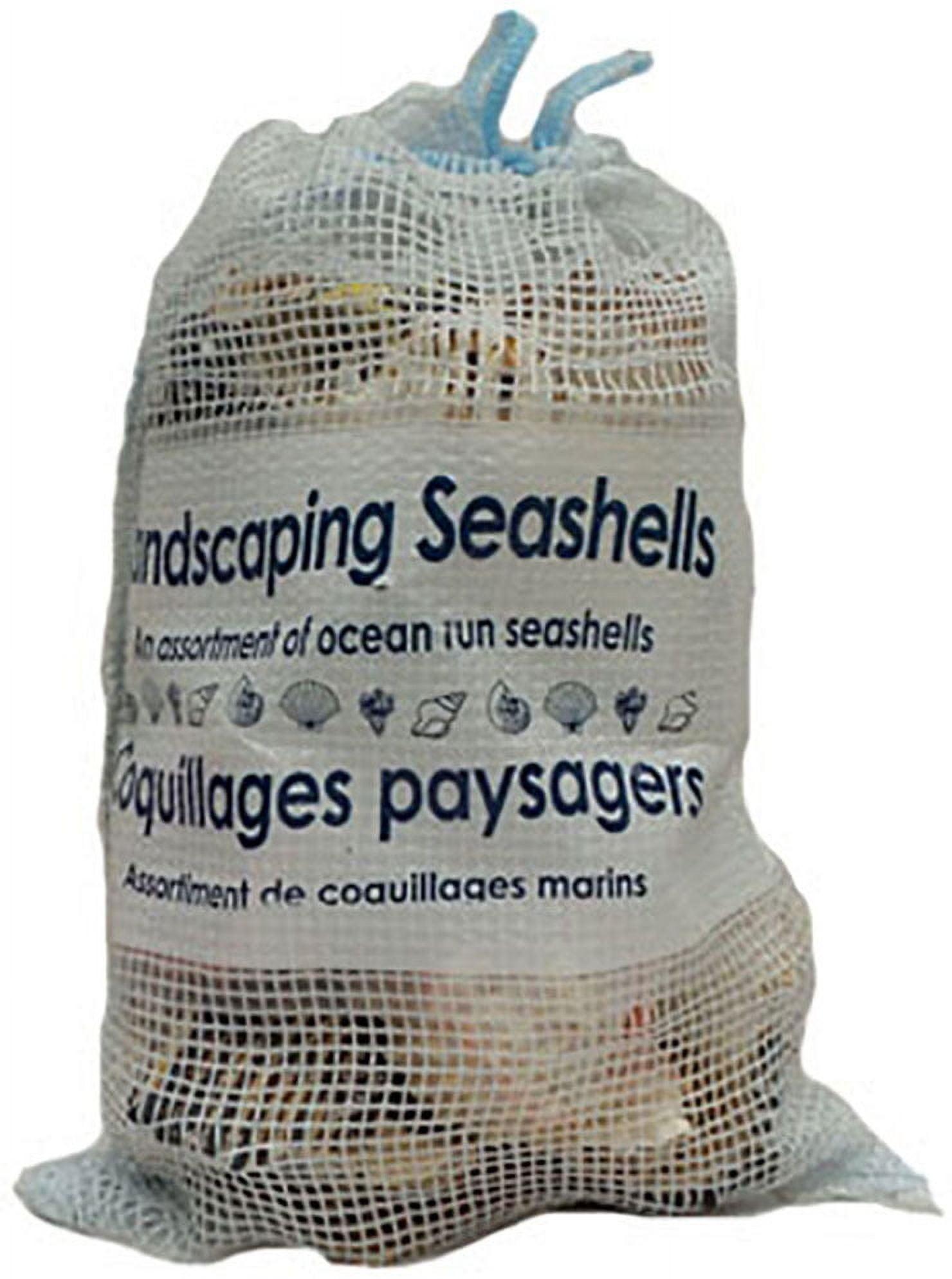 U.S. Shell - Landscaping Seashells 5lbs - Decorative Outdoor Land Cover