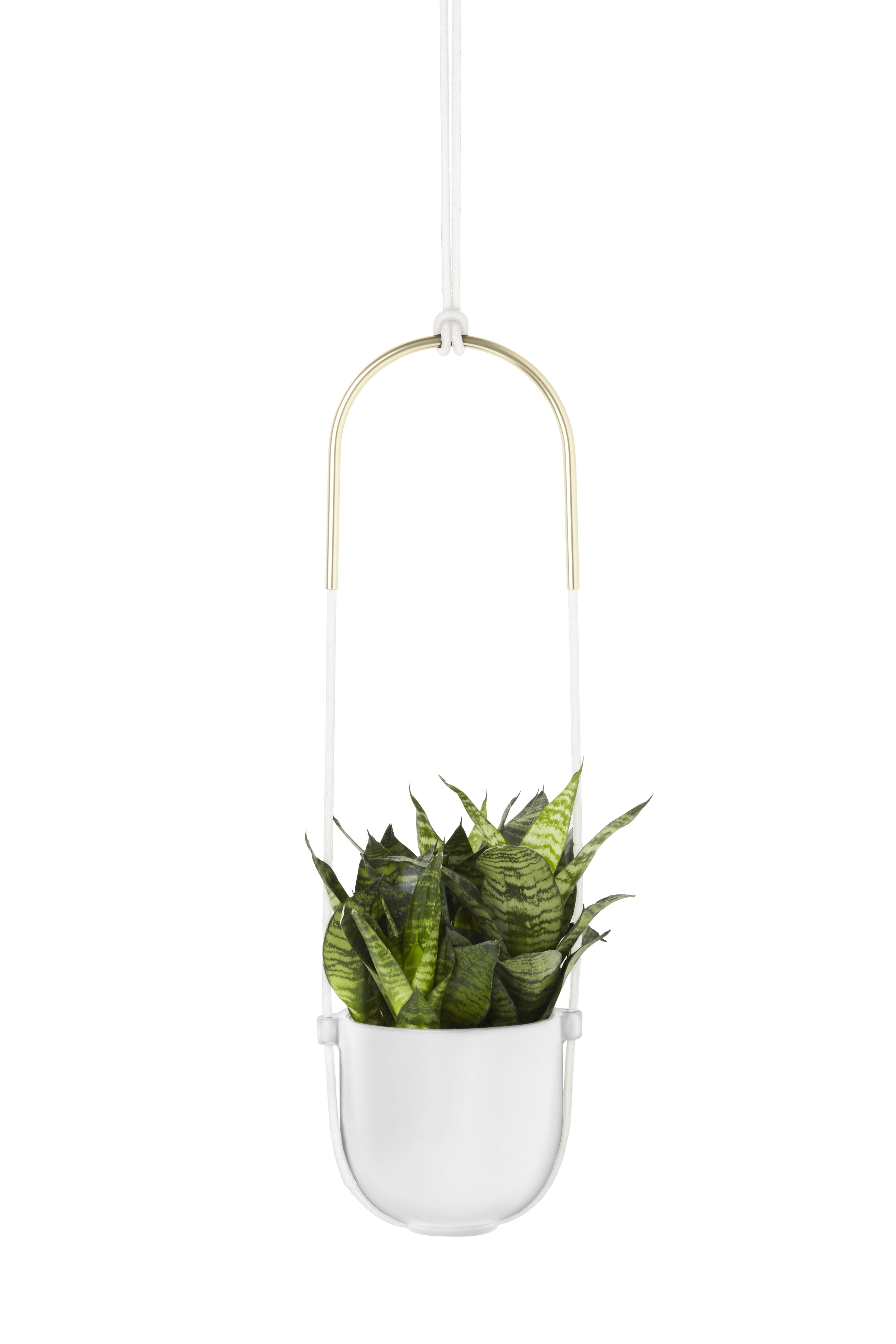 Bolo Ceramic Hanging Planter