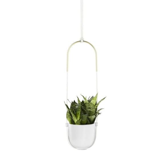 Umbra Bolo Ceramic Hanging Planter