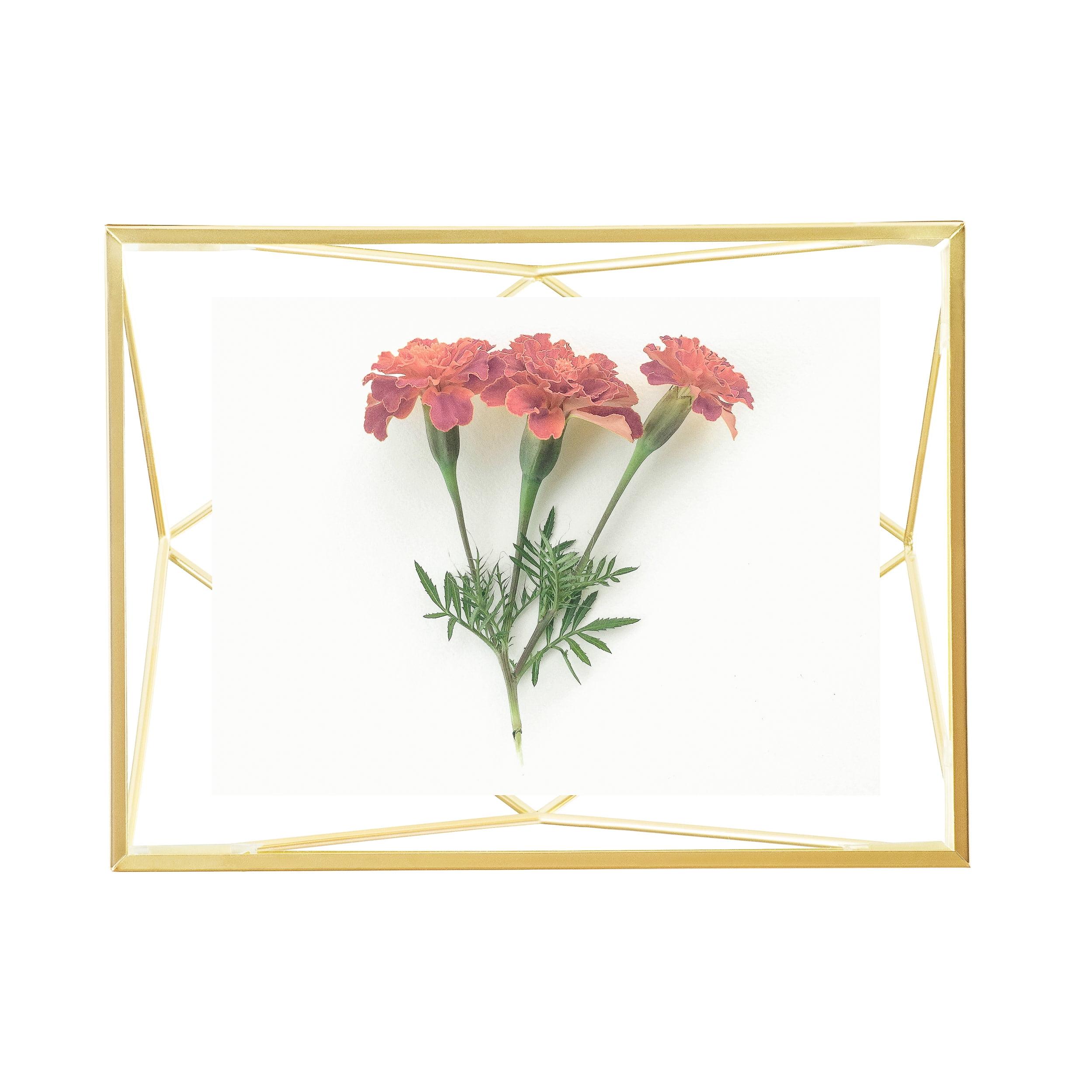Umbra Prisma Metal Floater Picture Frame