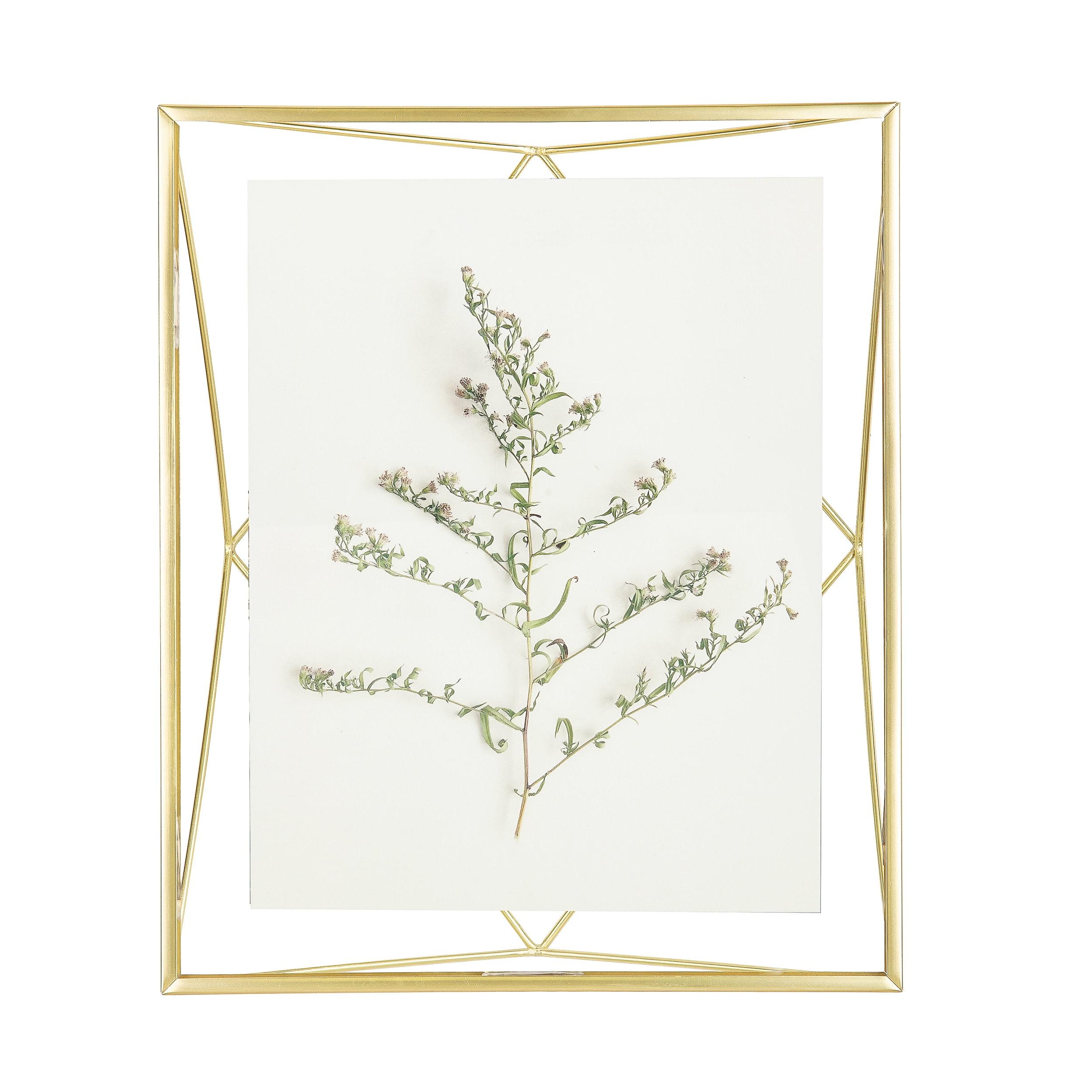 Umbra 8"x10" Prisma Picture Frame Matte Brass: Modern Steel Construction, Freestanding or Wall Mount, Novelty Shape