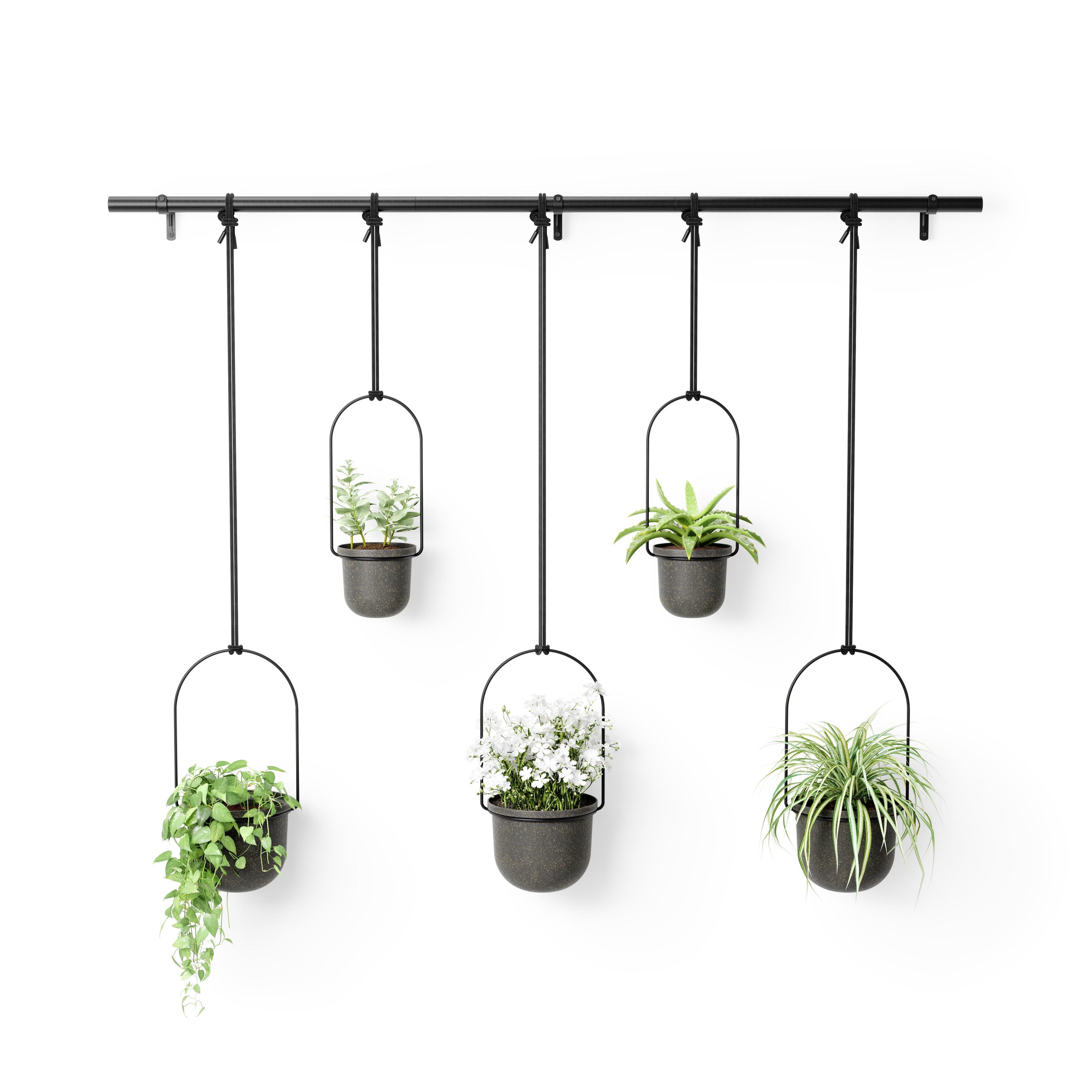 Hanging Planter