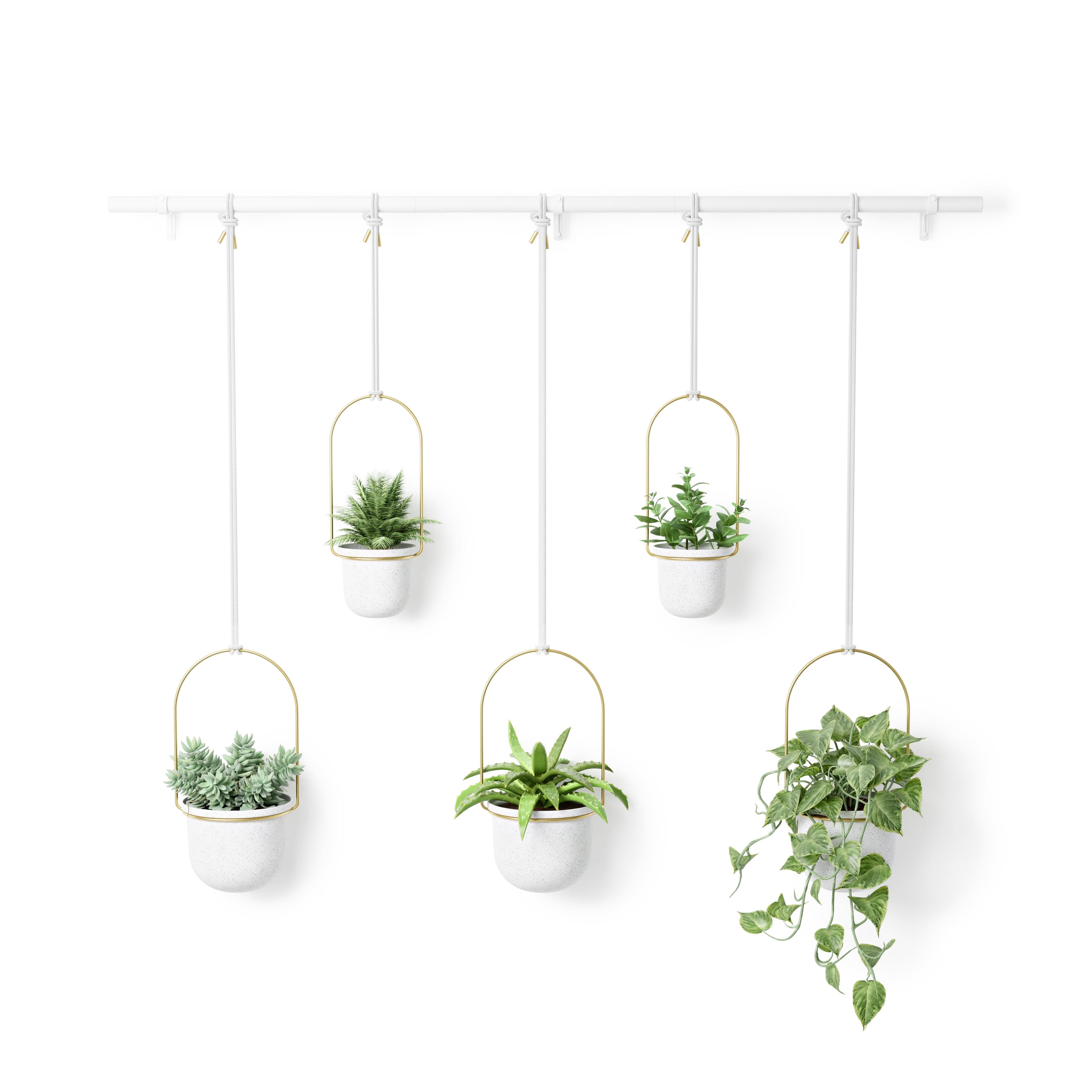 Triflora Adjustable White/Brass Indoor/Outdoor Hanging Planter