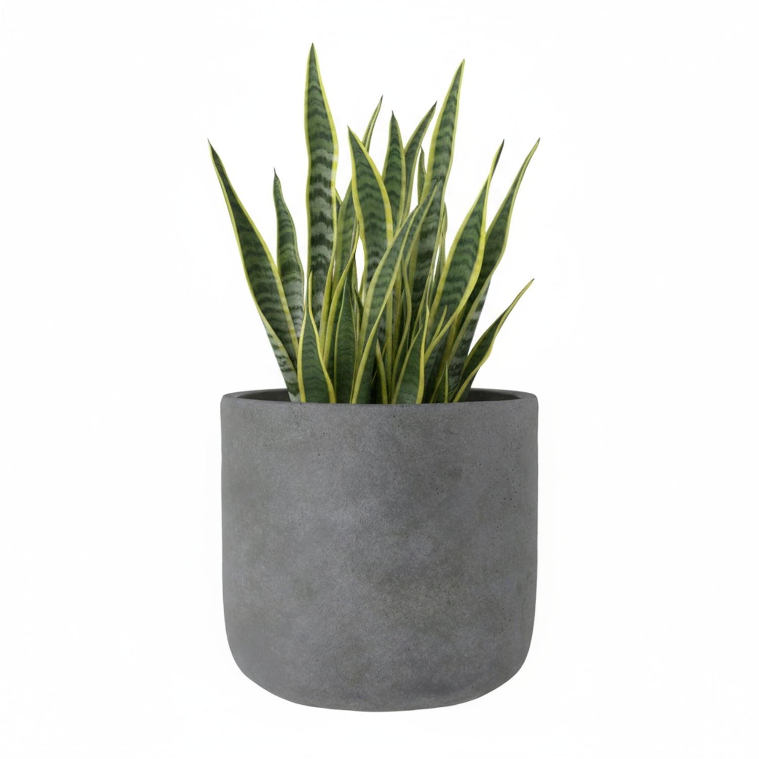 Neyra Terracotta Round Pot