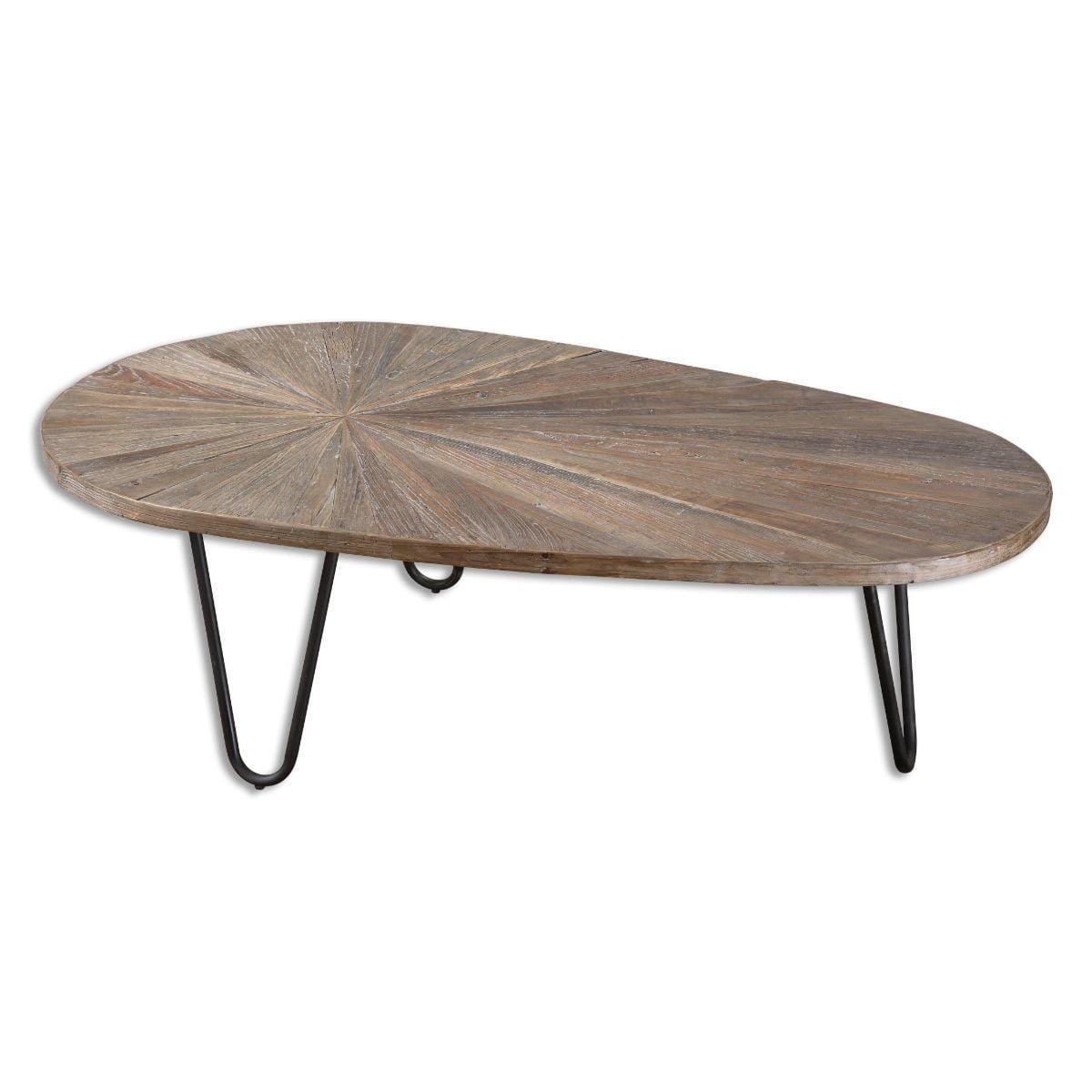 Leveni 51" Oval Reclaimed Elm Wood Coffee Table with Iron Legs