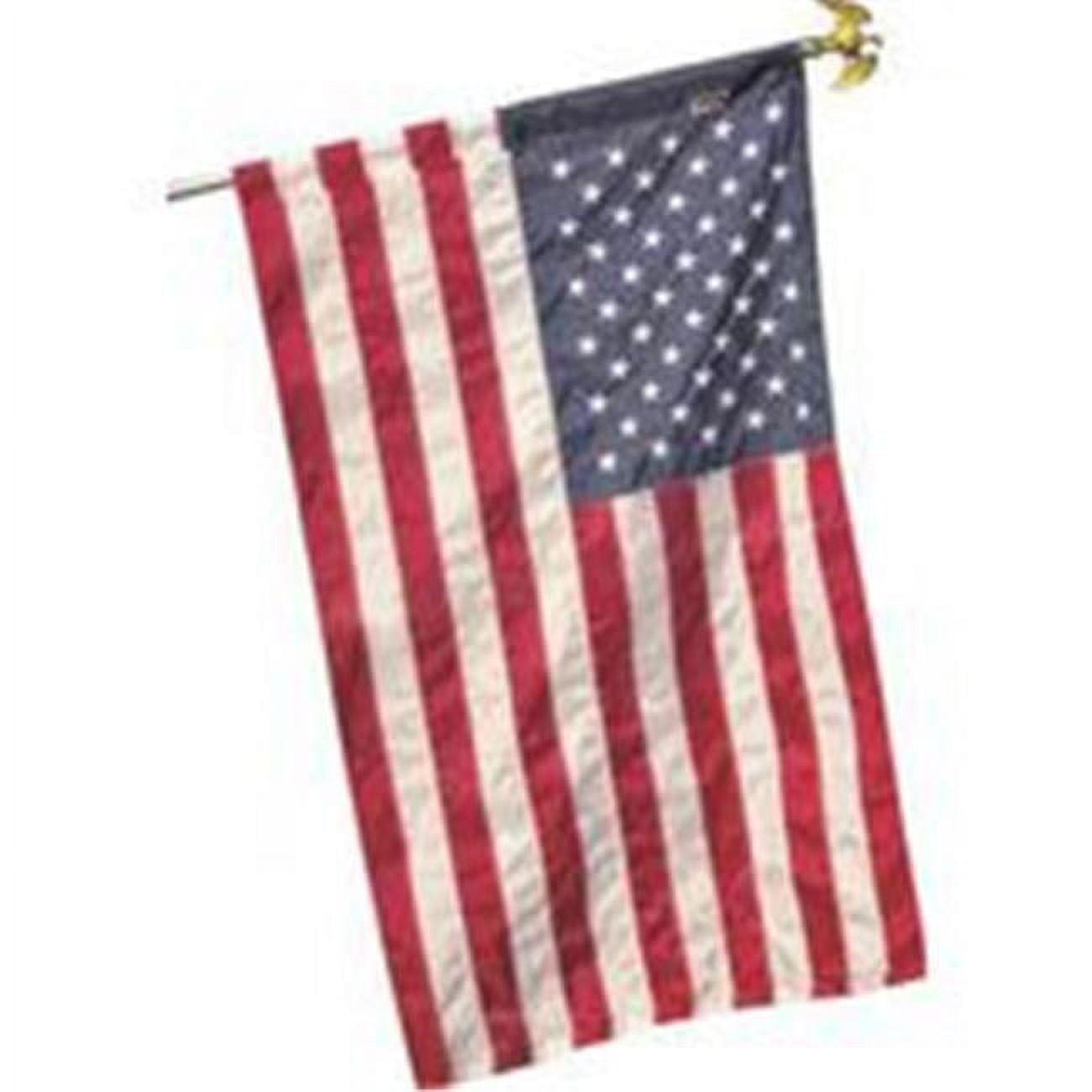 Valley Forge American Flag 30 in. H X 48 in. W