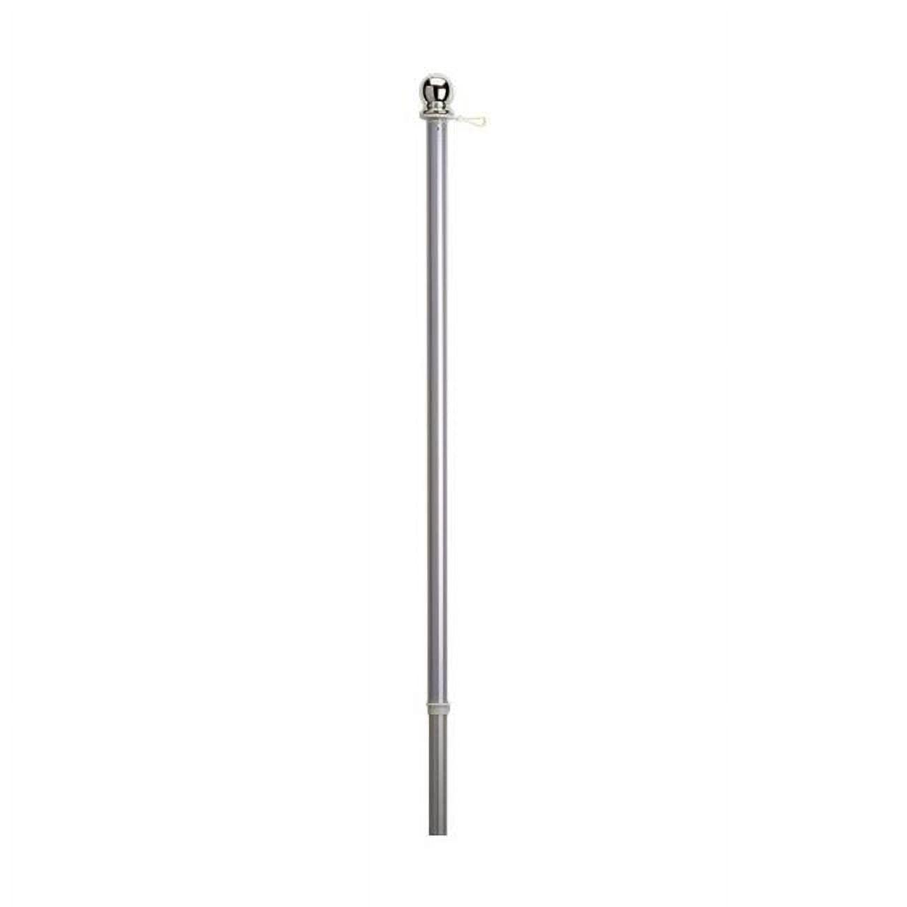 Valley Forge Flag 7098189 60 in. x 5 ft. Brushed Aluminum Flag Pole with Sleeve