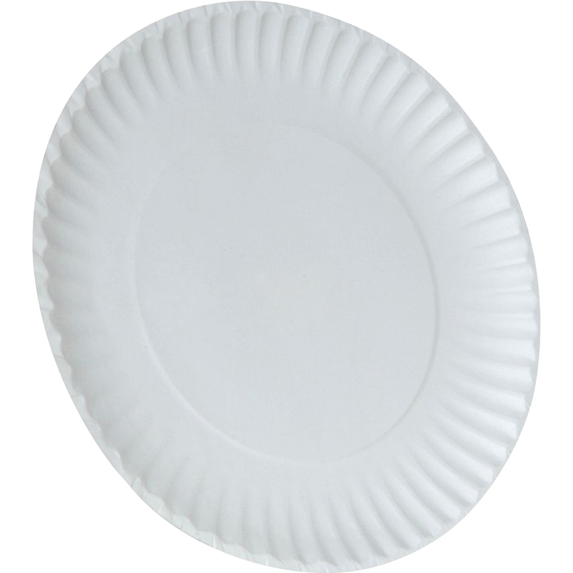 White 9-Inch Round Disposable Paper Plates, 100 Count