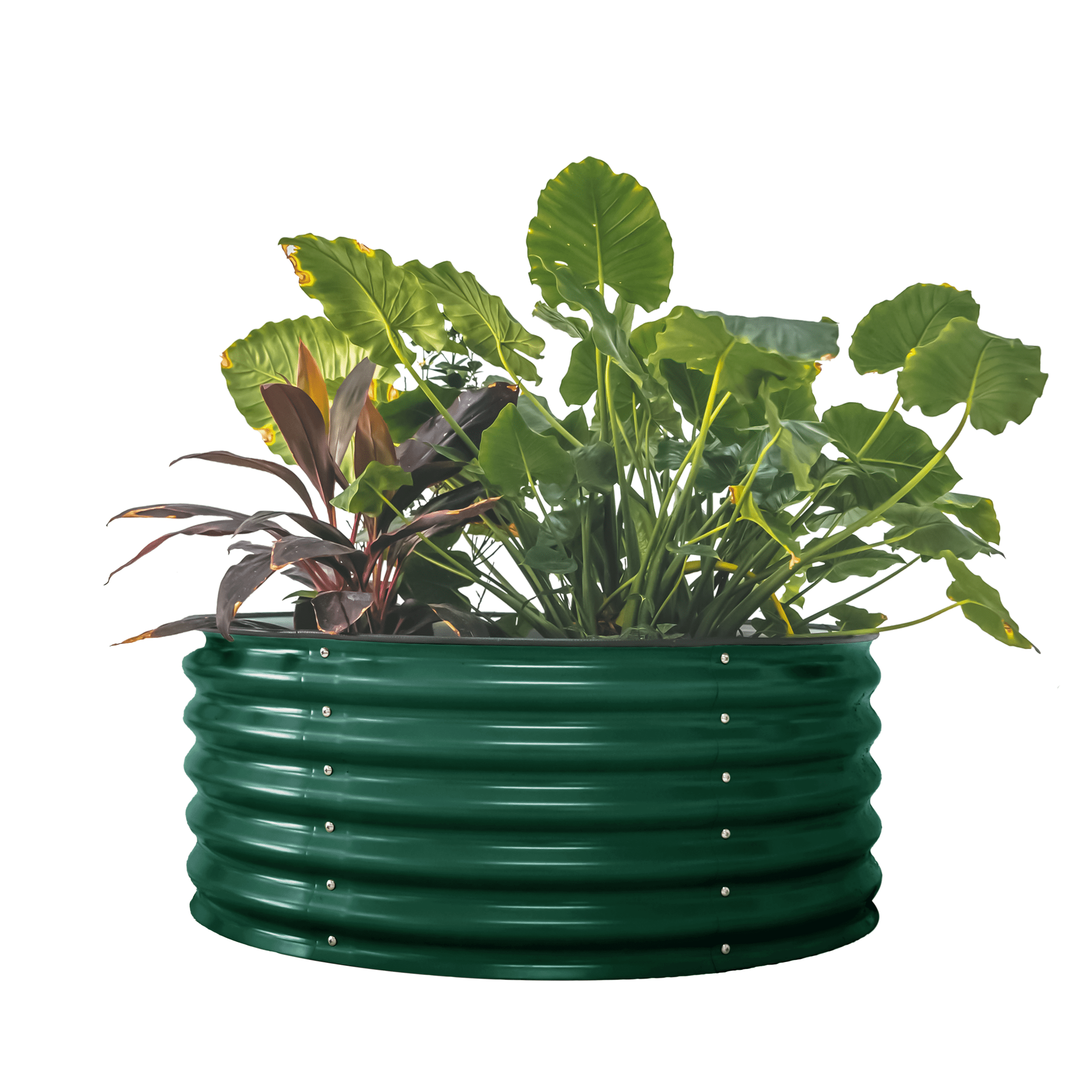 Classic 17" Tall 30" Wide Round Metal Outdoor Raised Garden Bed