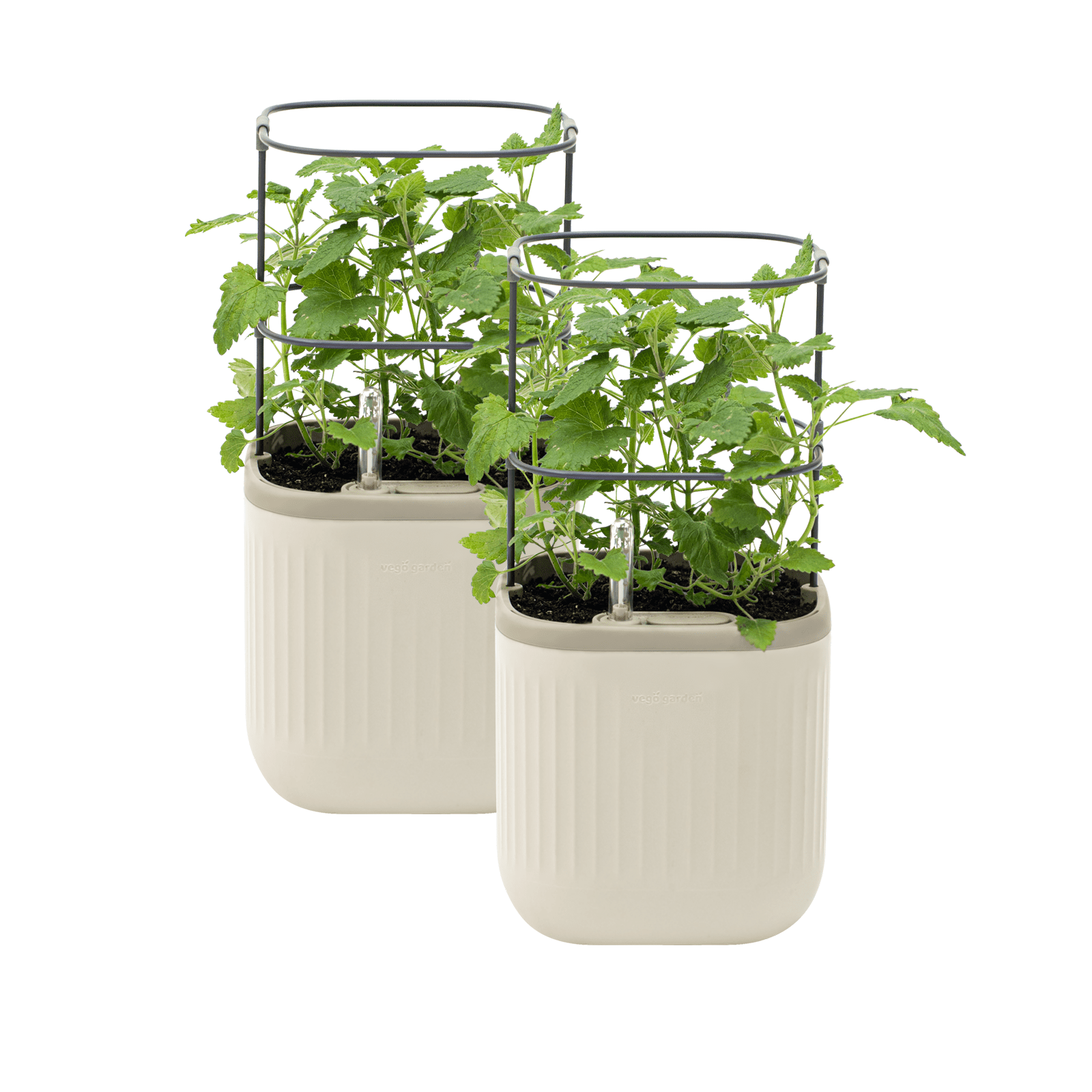 Mini Plastic Outdoor Pot Planter with Trellis