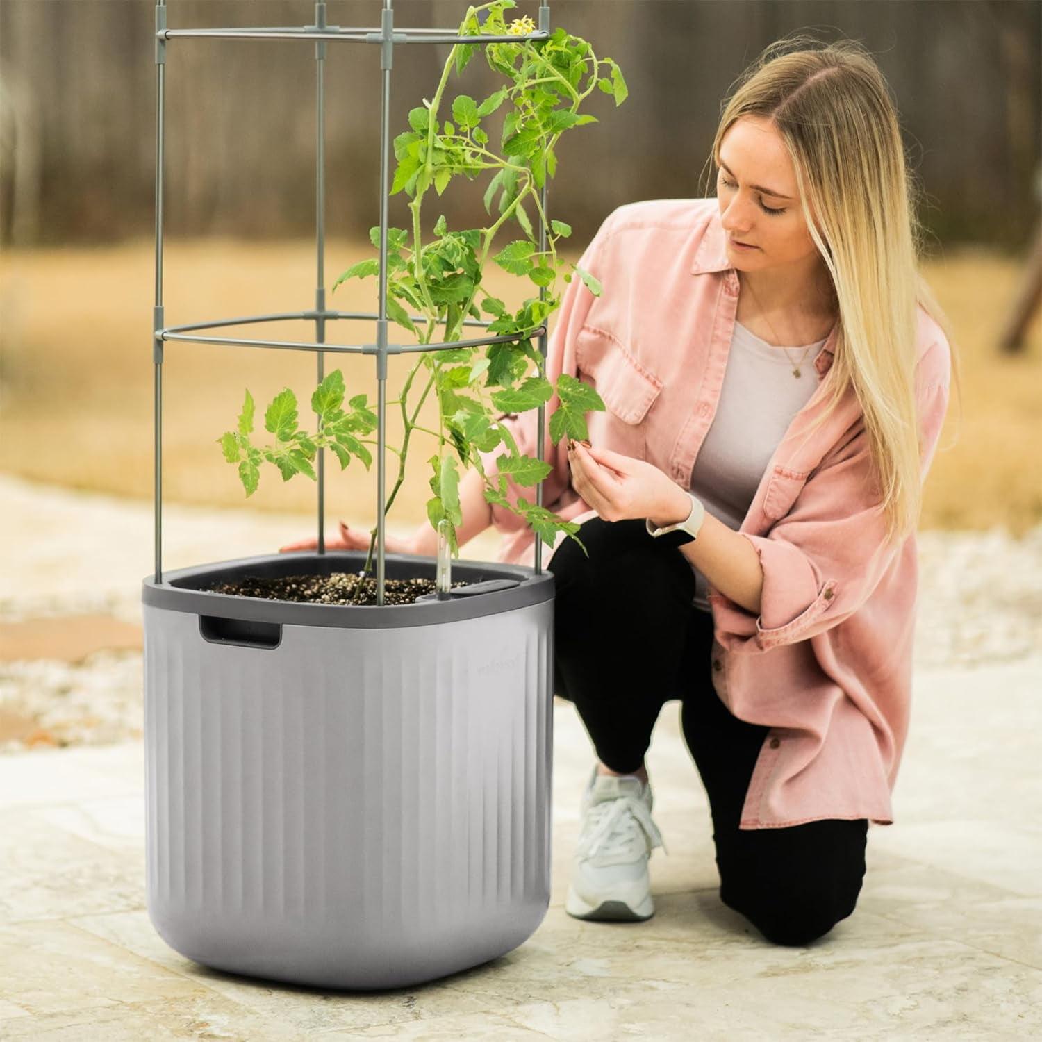 Vego Garden Self-Watering Rolling Tomato Rectangular Indoor Outdoor Planter Pot with Trellis 15"x15"x55"