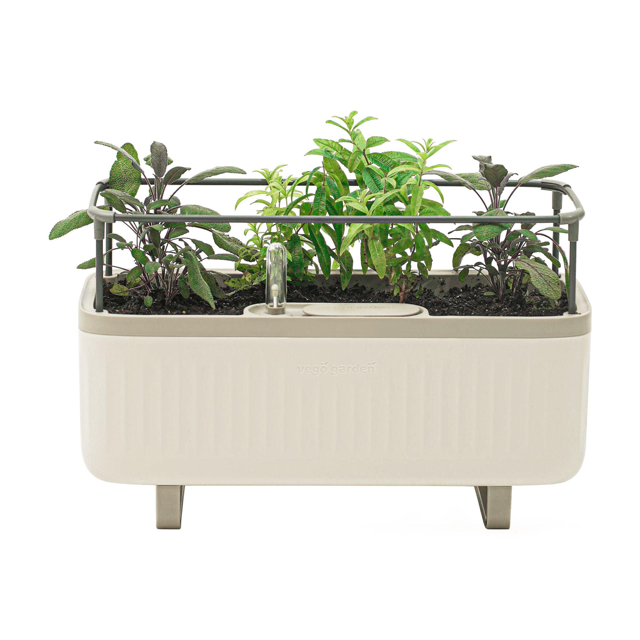 Vego Garden Mini Herb Plastic Outdoor Pot Planter with Trellis